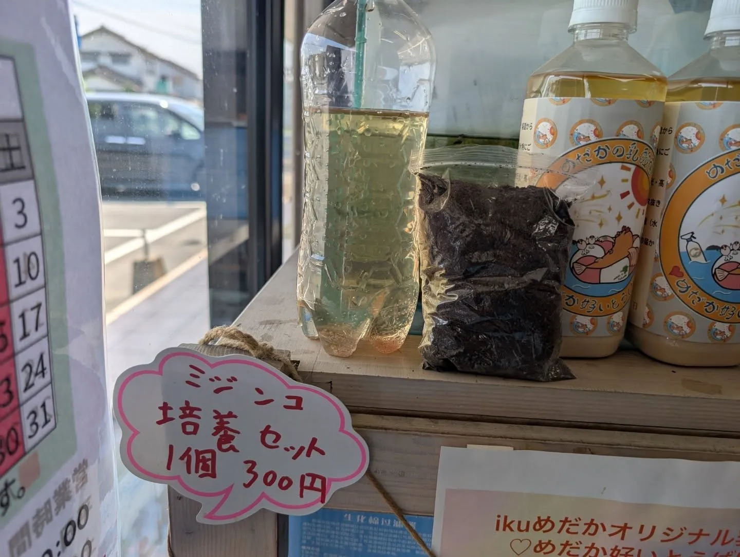 ミジンコ販売始めました✨