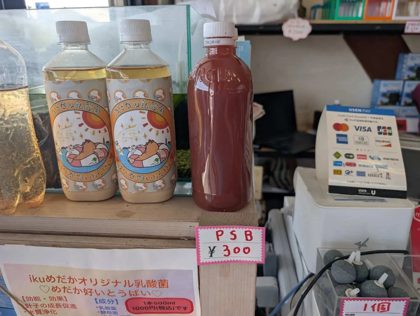 ミジンコ販売始めました✨