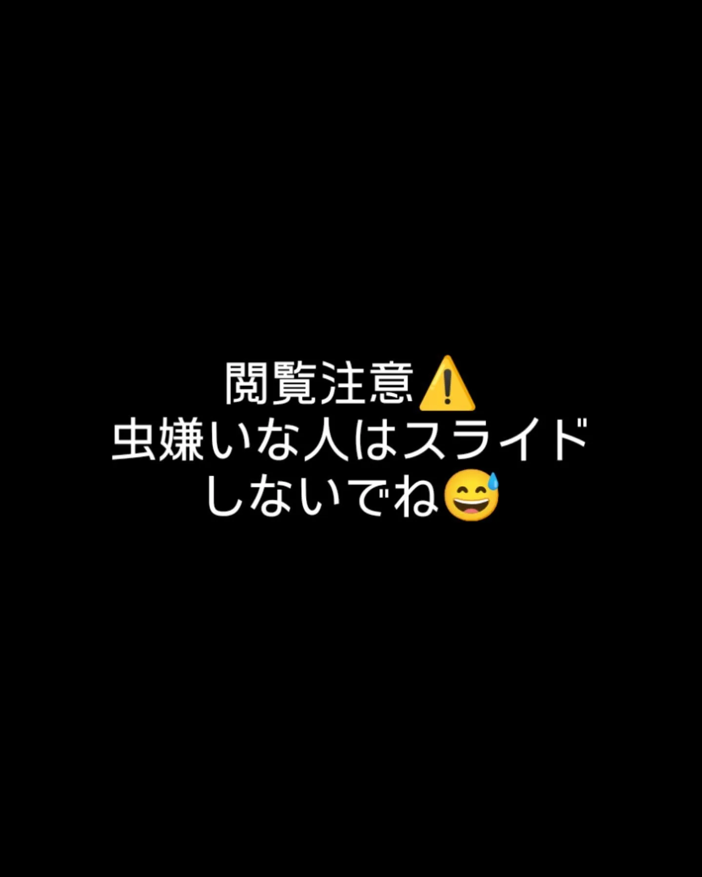 本日の入荷情報✨(餌)