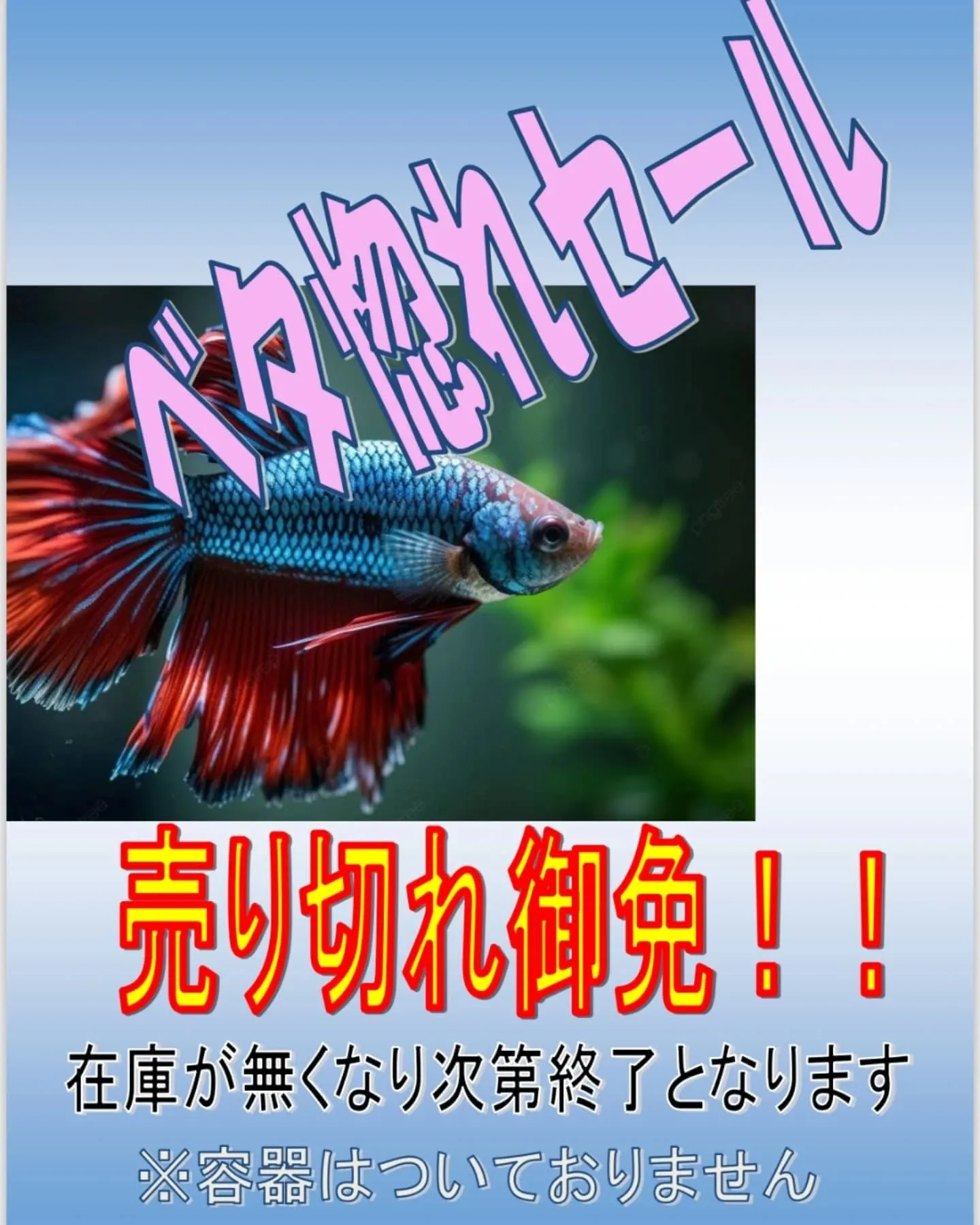 イベント情報✨(ベタ、金魚すくい)