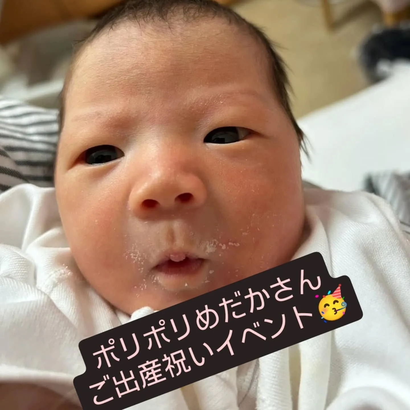 めだかイベント情報✨