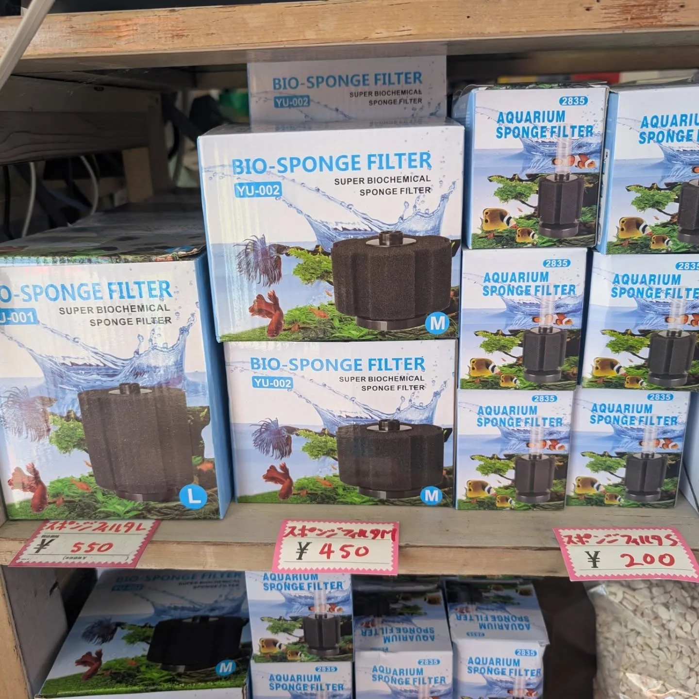 用品入荷情報✨