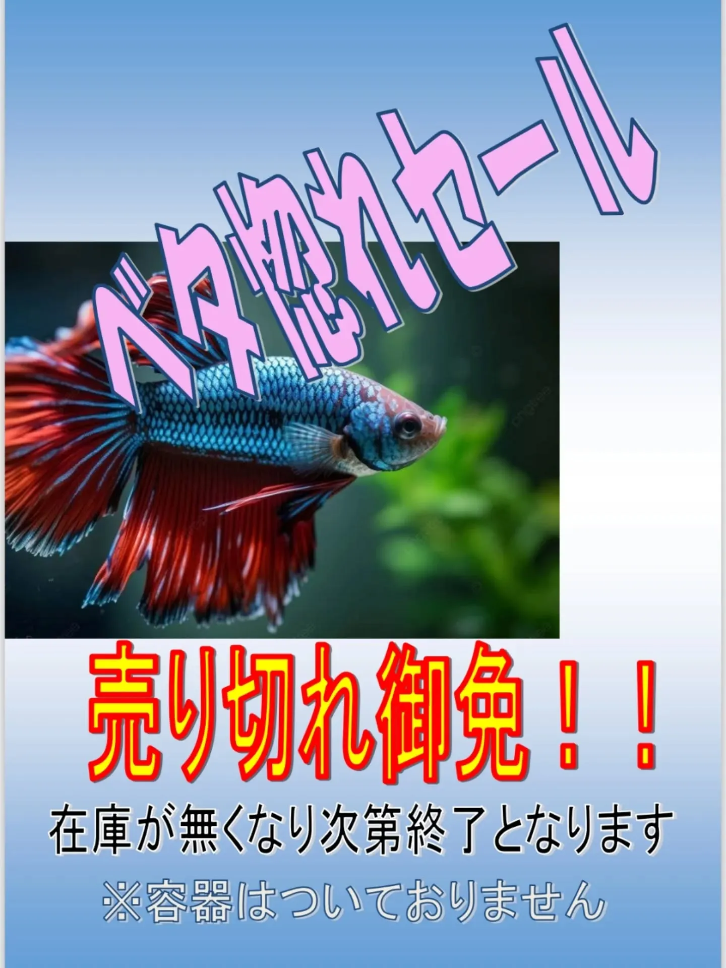 ベタ惚れセール開催中🎉