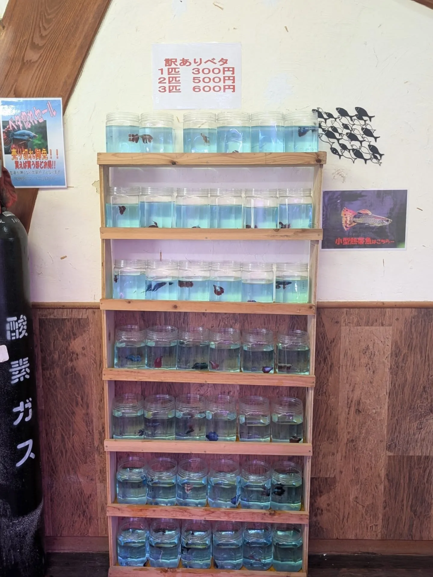 ベタ惚れセール開催中🎉