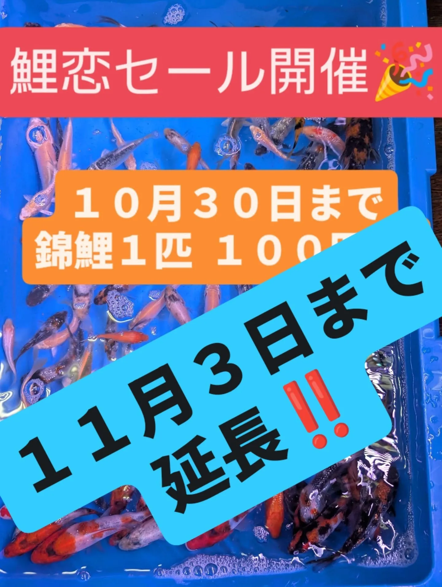 イベント情報✨