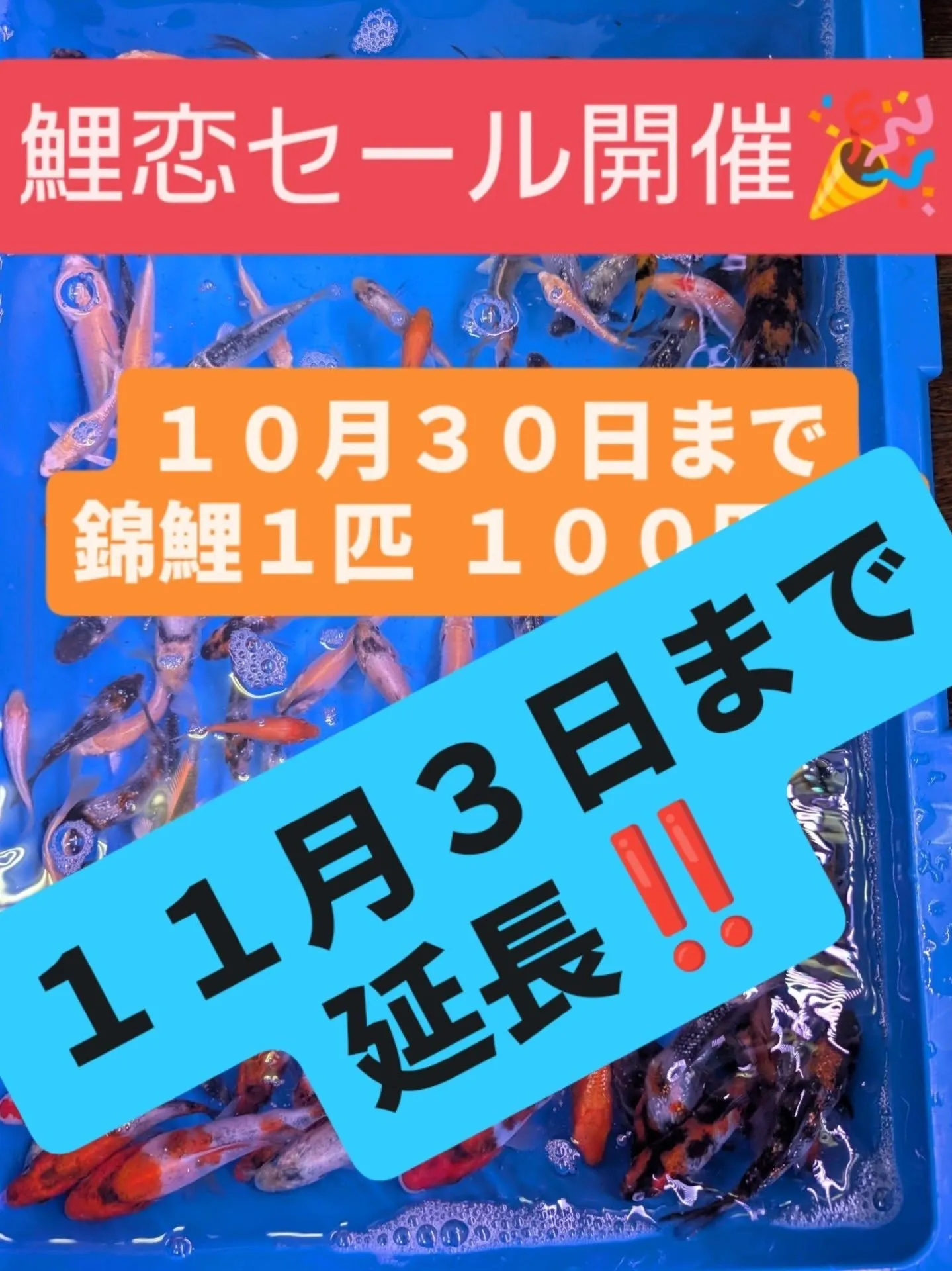 本日イベント最終日🎉