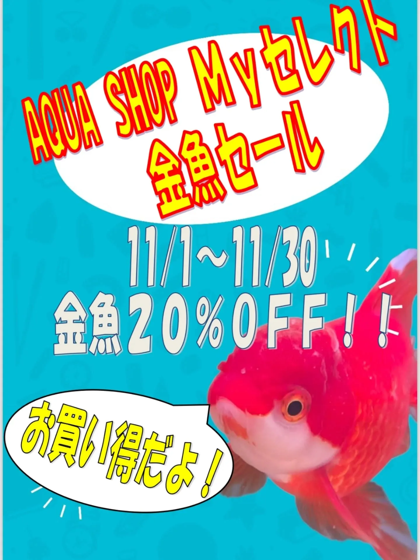 イベント情報✨