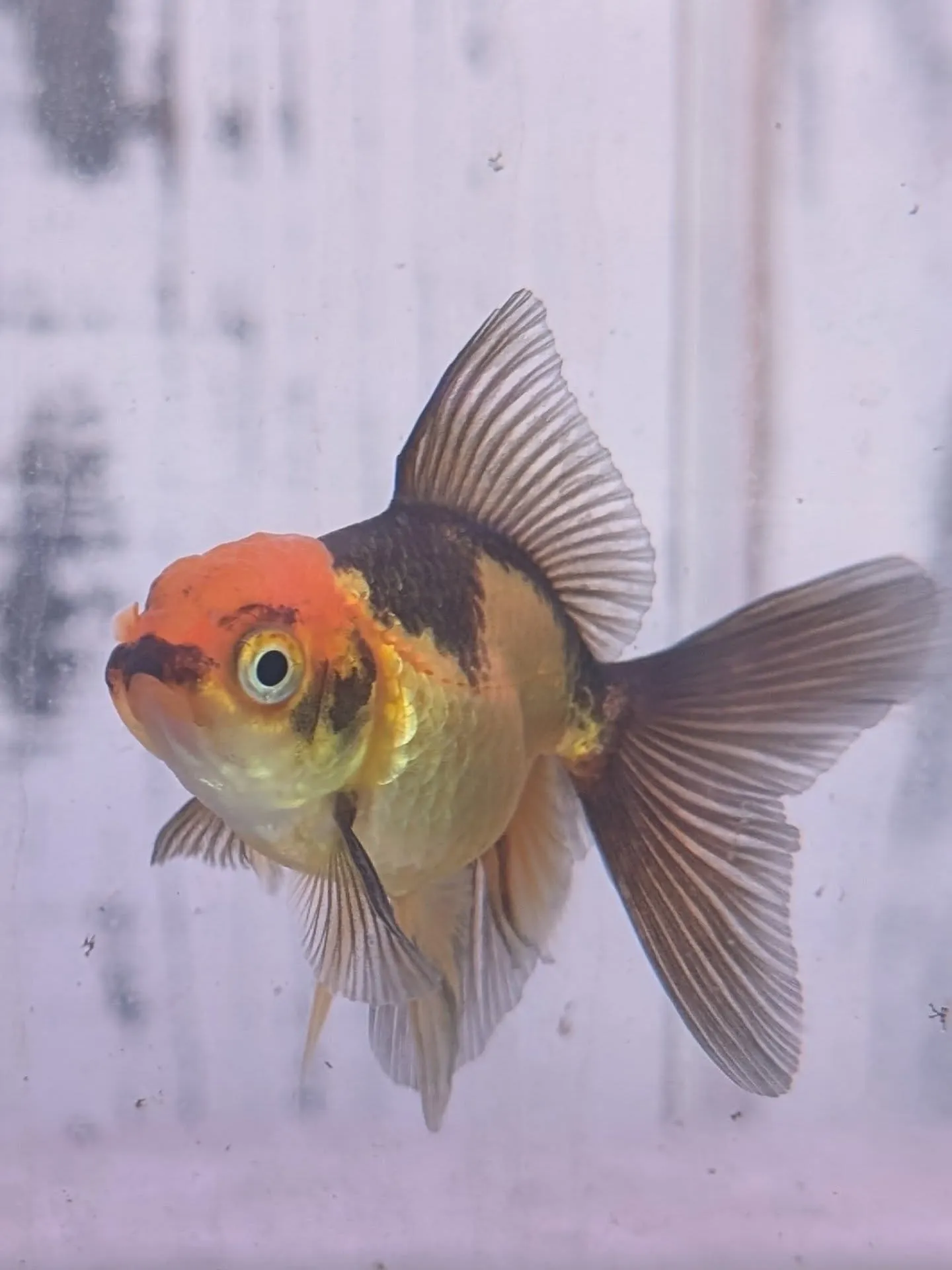 イベント情報✨