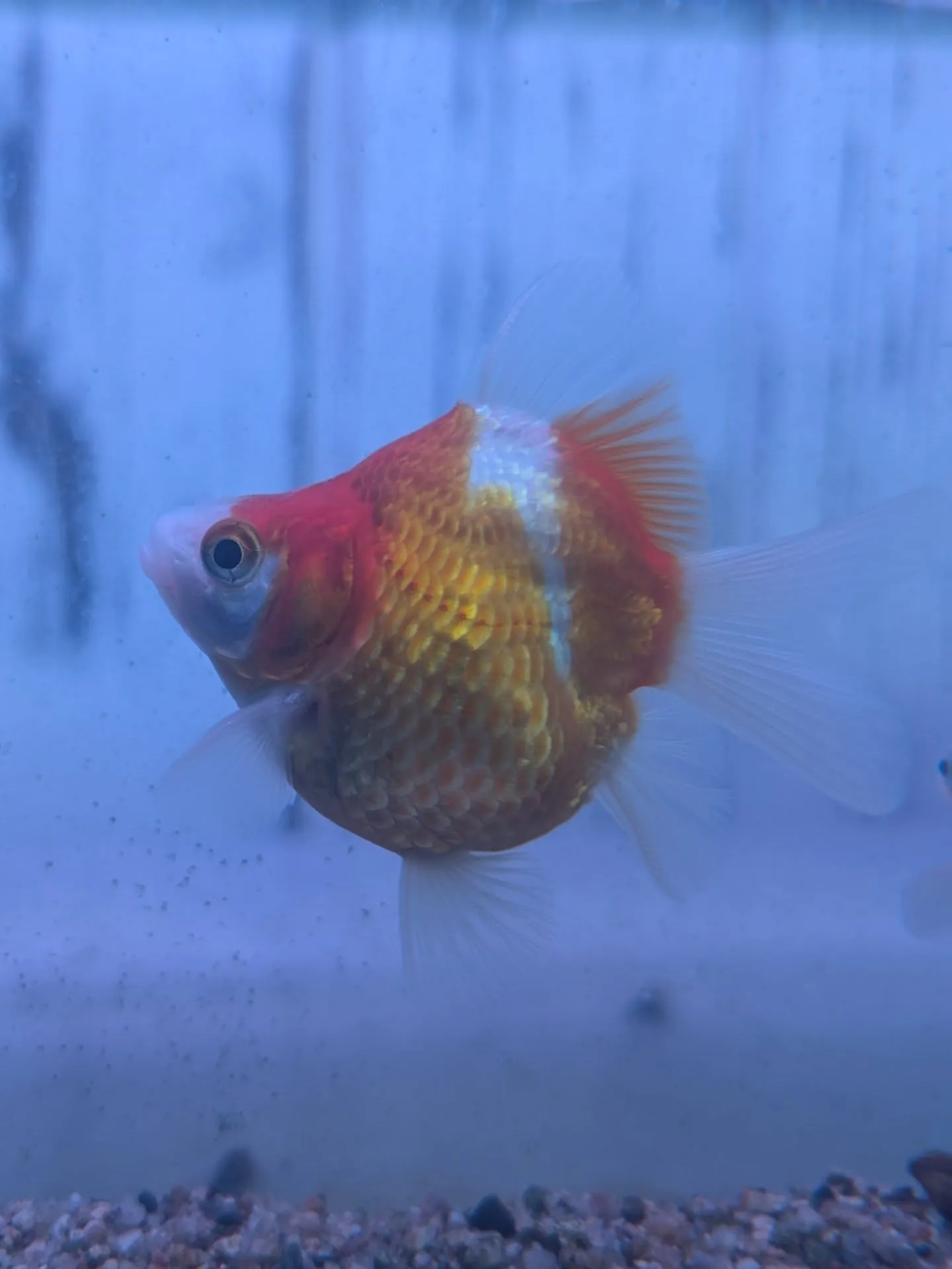 イベント情報✨