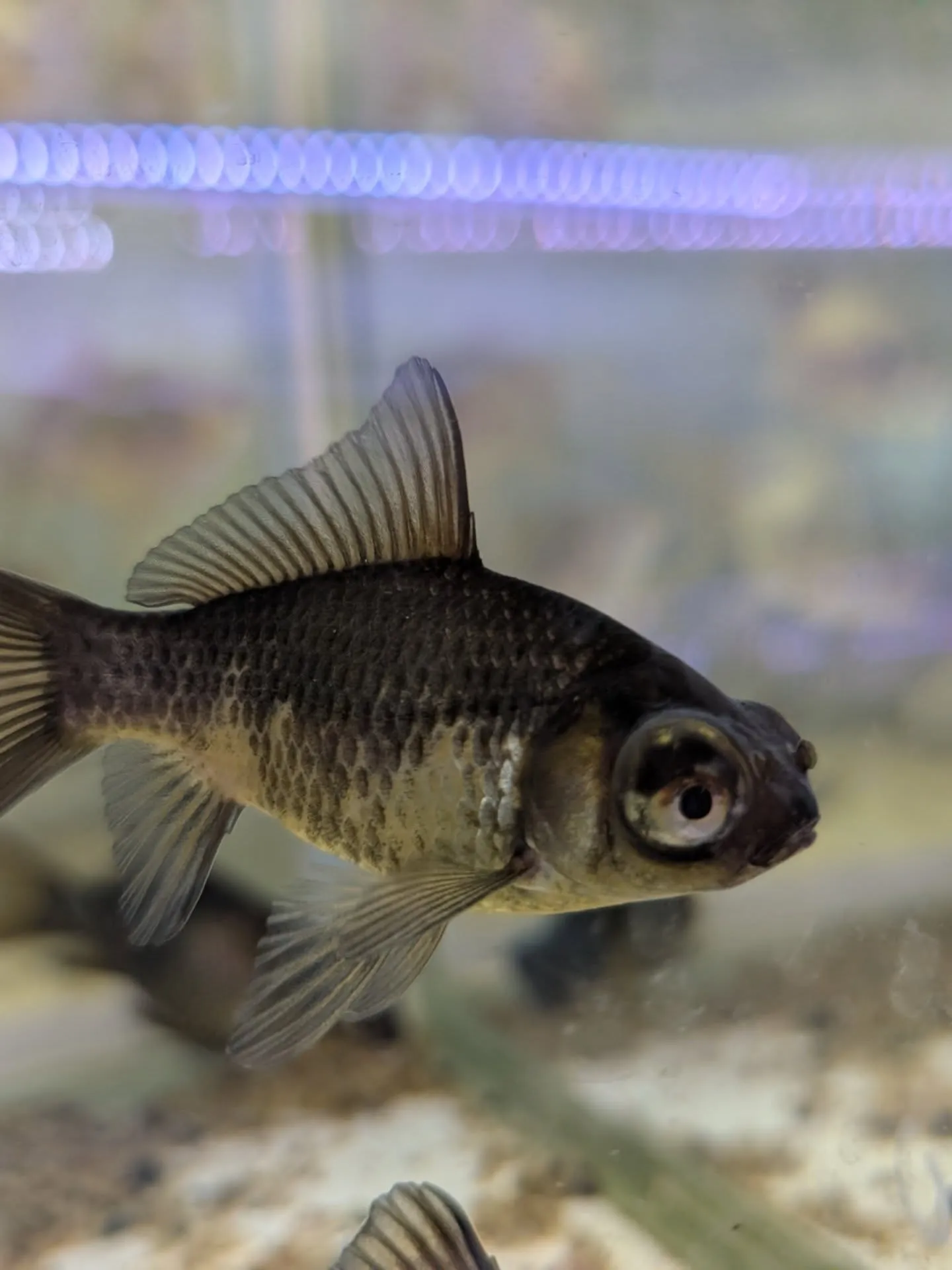 イベント情報✨