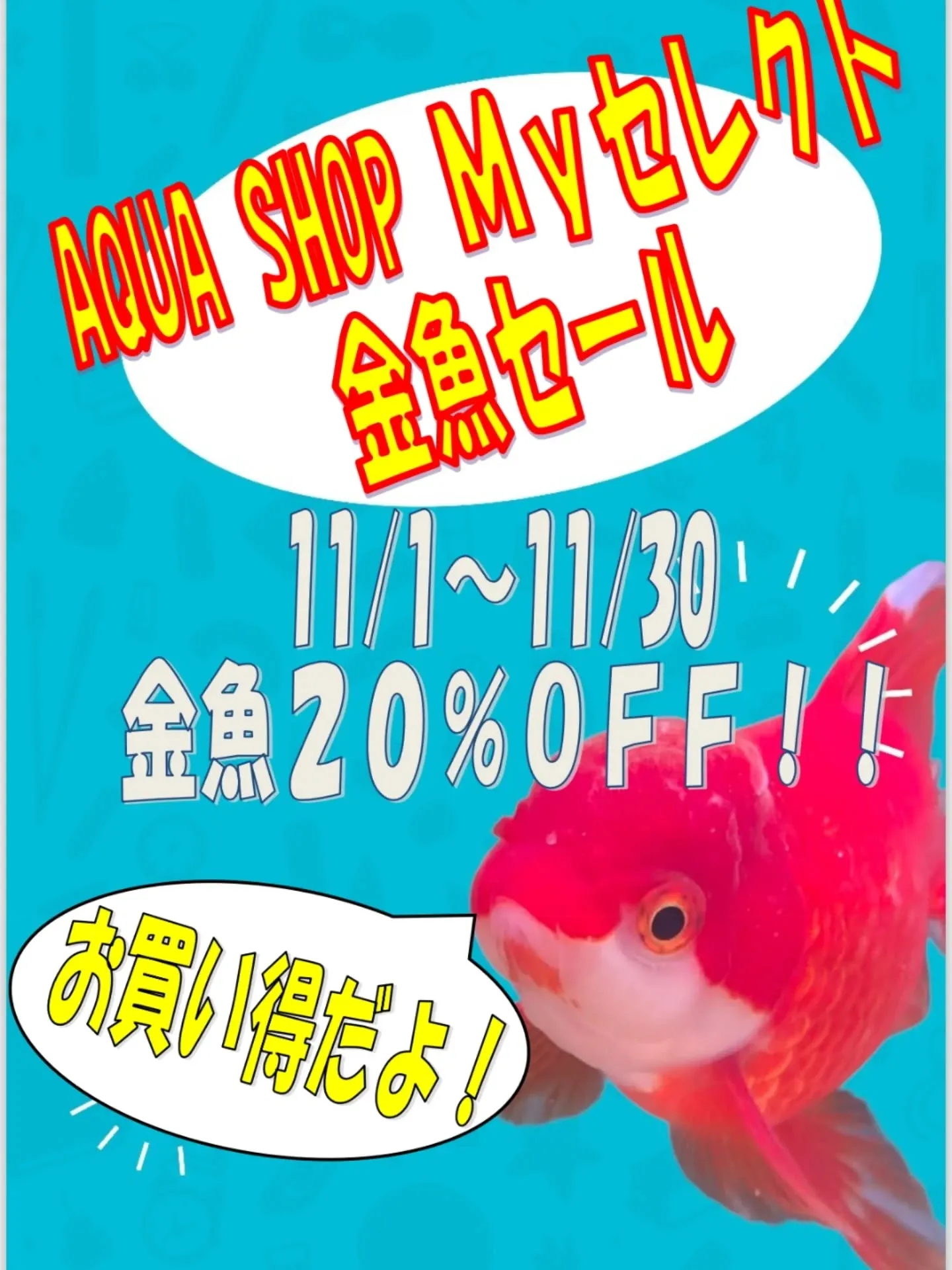 本日金魚セール最終日🎉