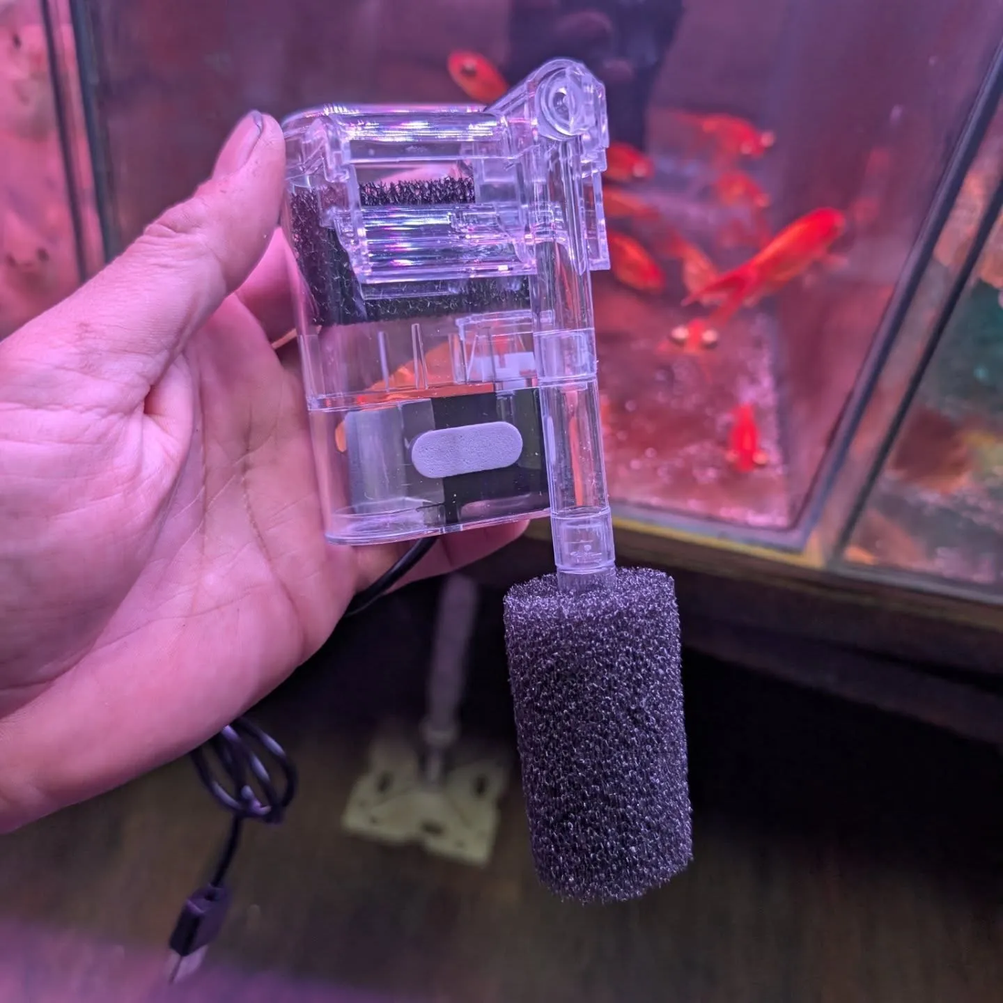 用品入荷情報✨