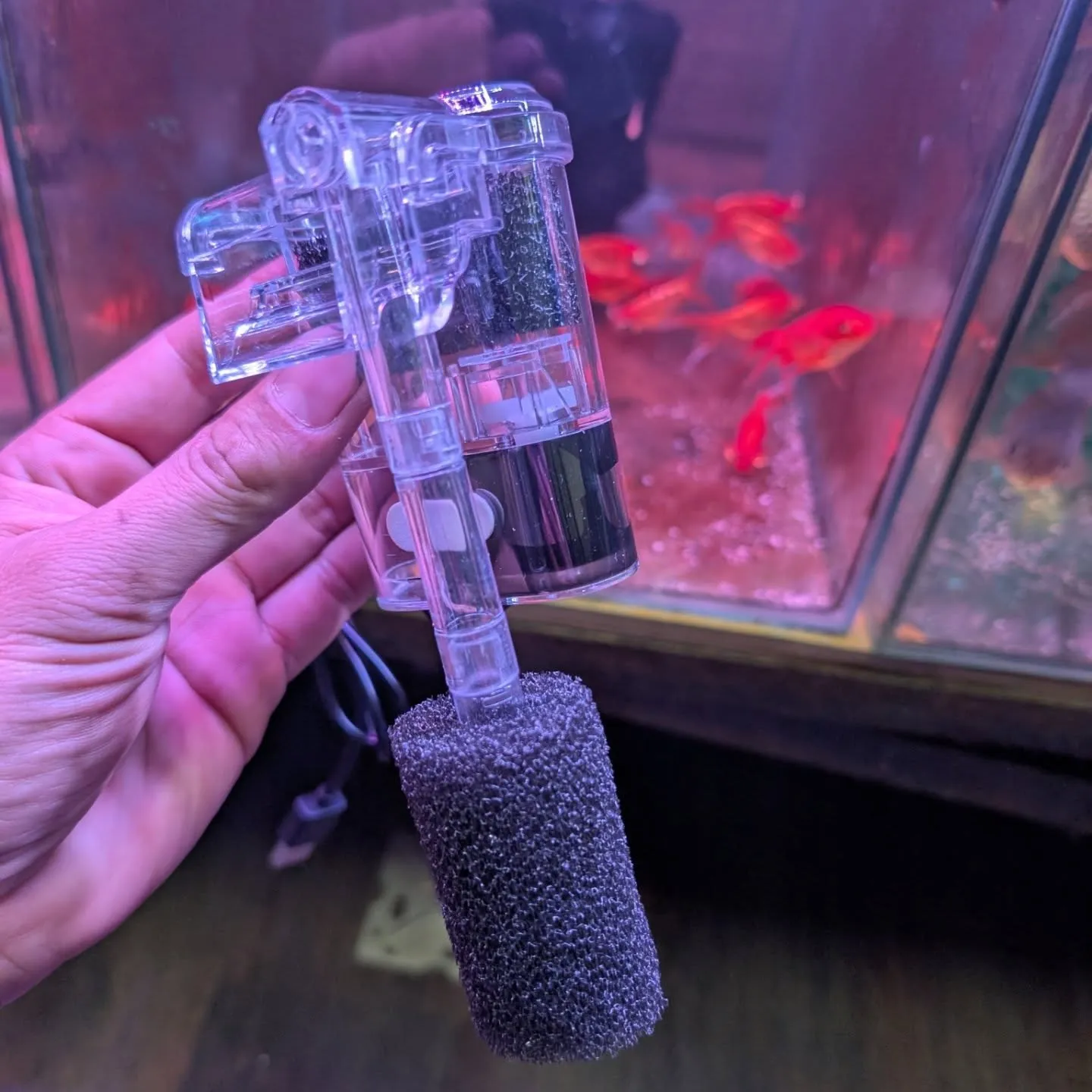 用品入荷情報✨