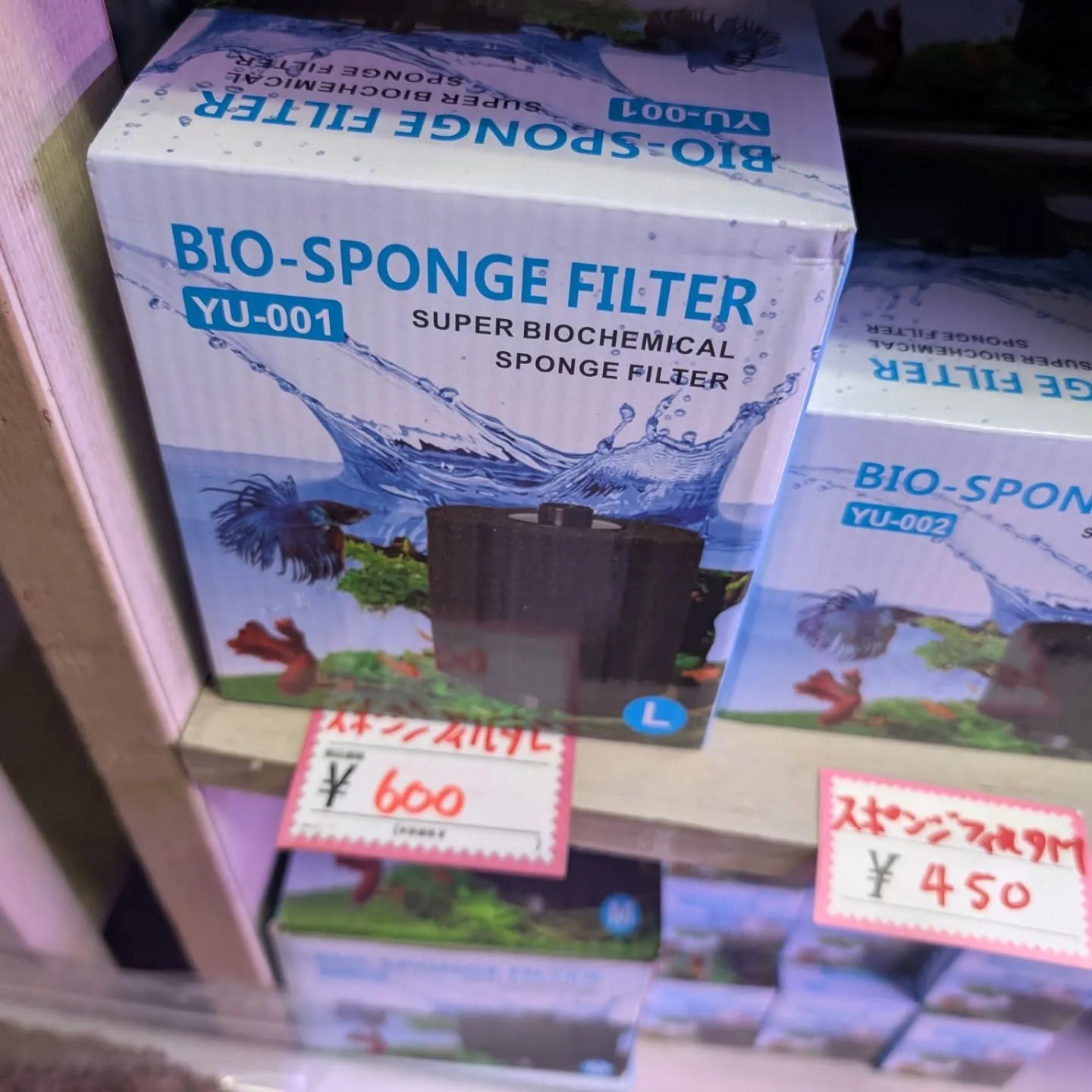 用品入荷情報✨