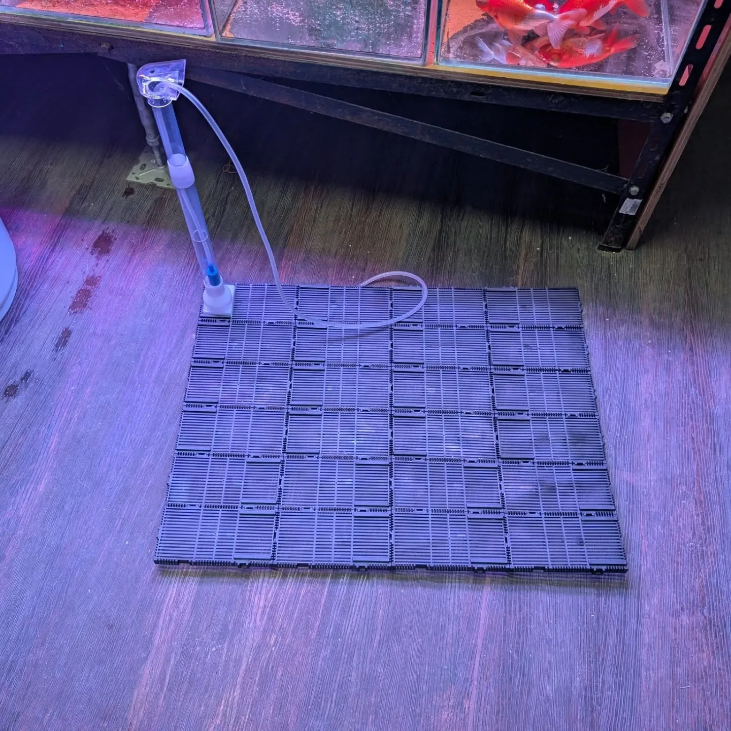 用品入荷情報✨