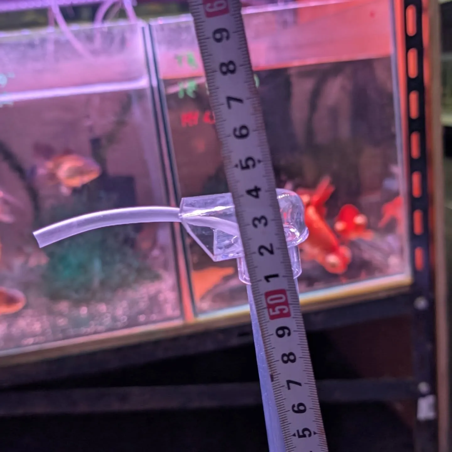 用品入荷情報✨