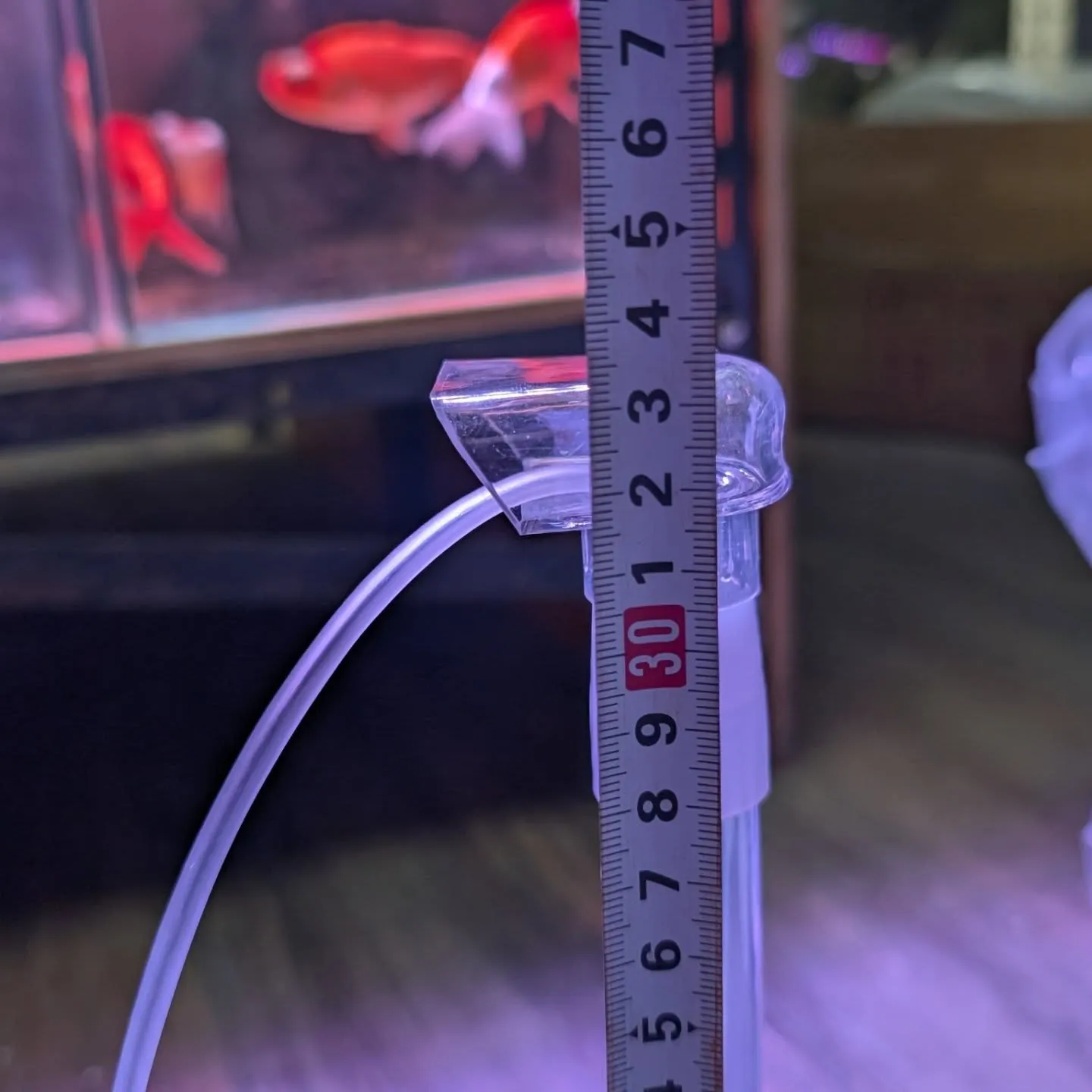 用品入荷情報✨