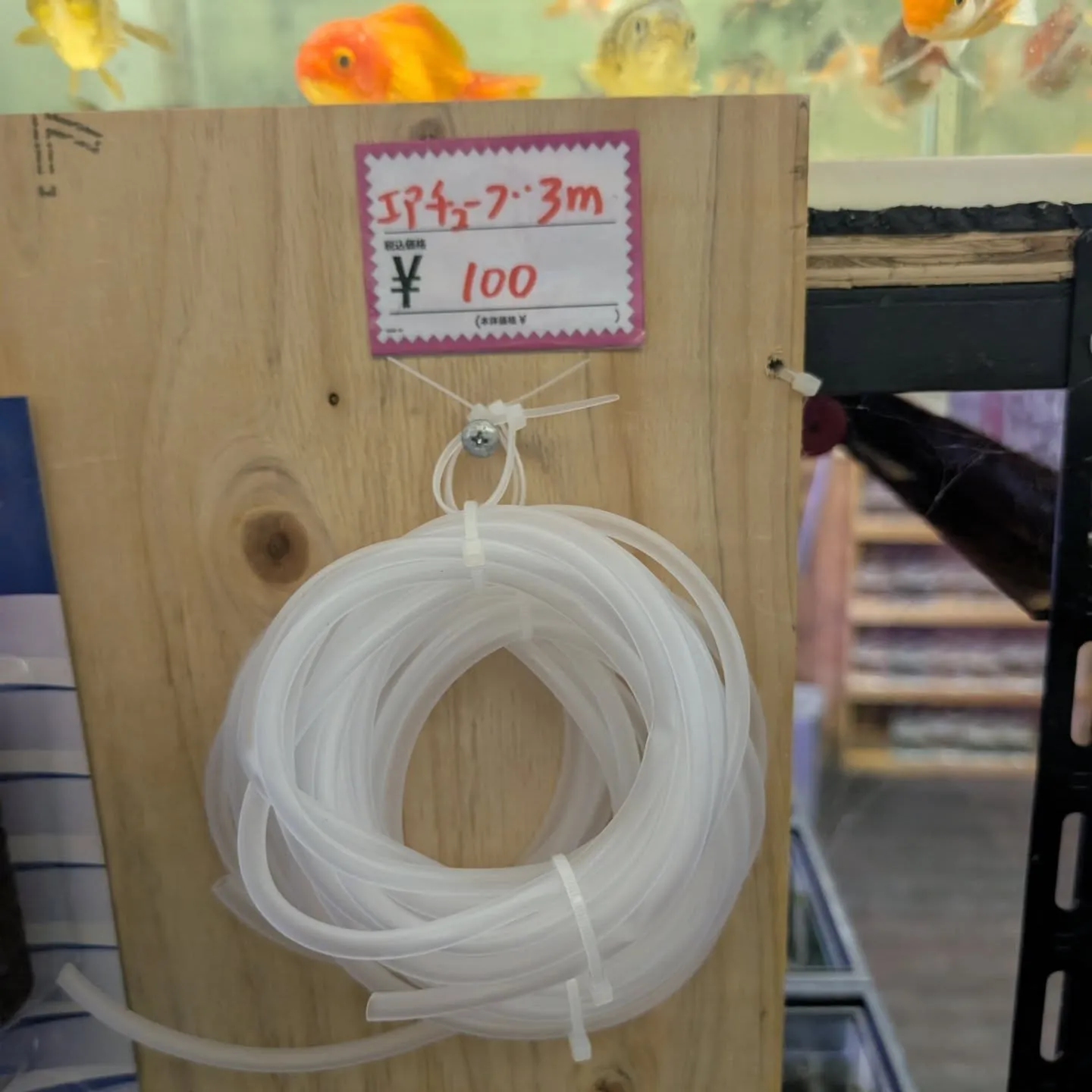 用品入荷情報✨