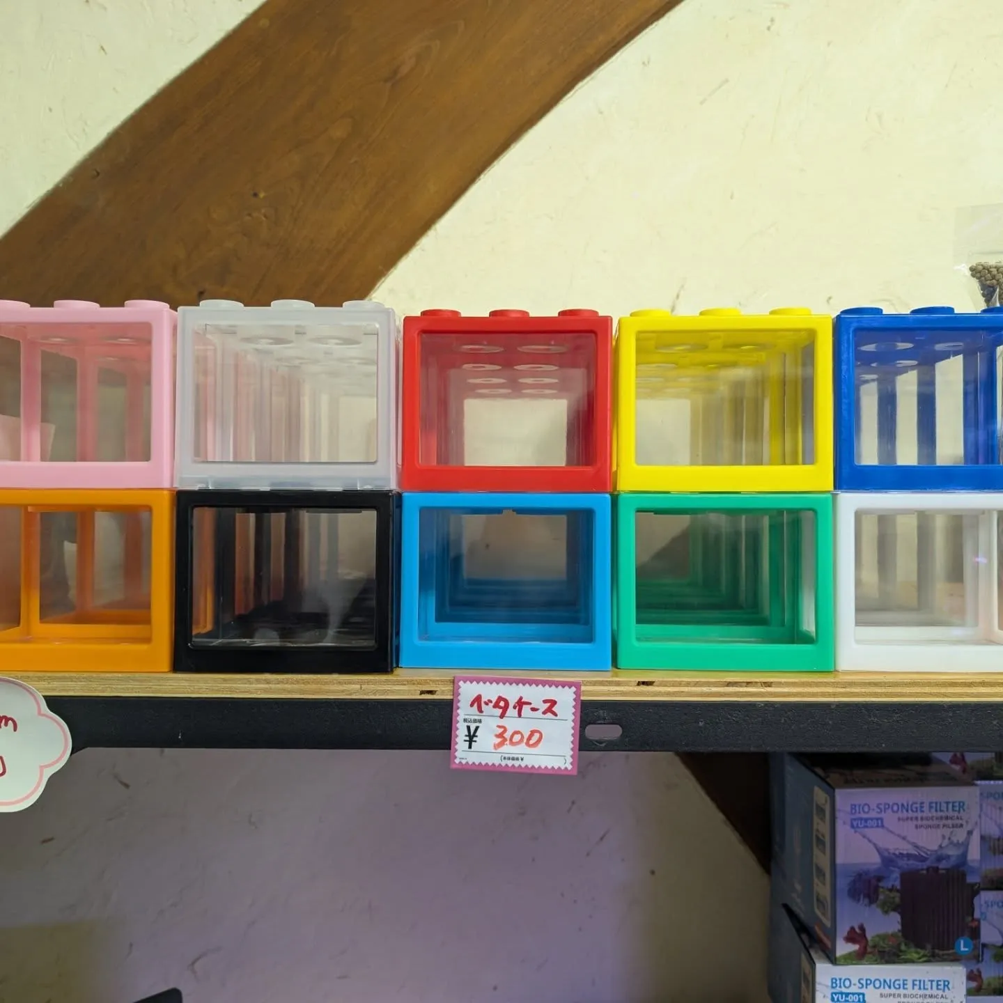 用品入荷情報✨