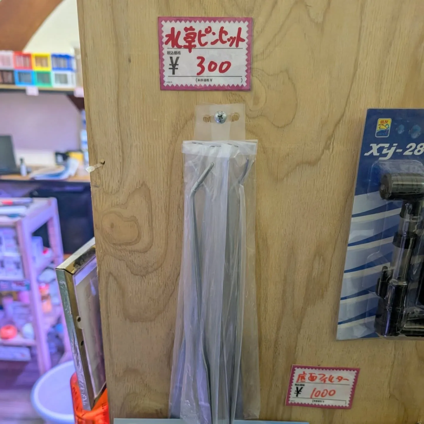 用品入荷情報✨