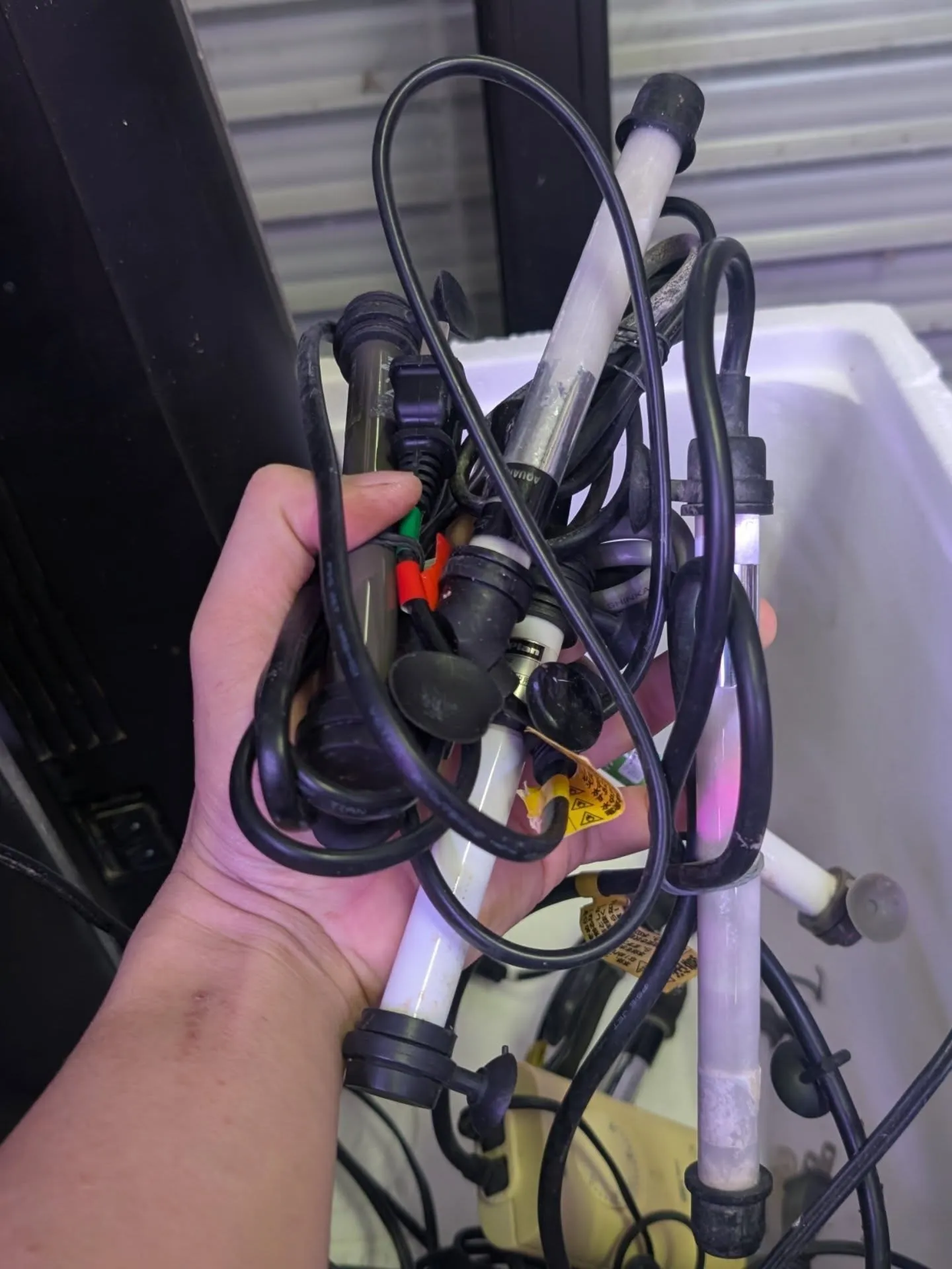 新春初売りセール🎊