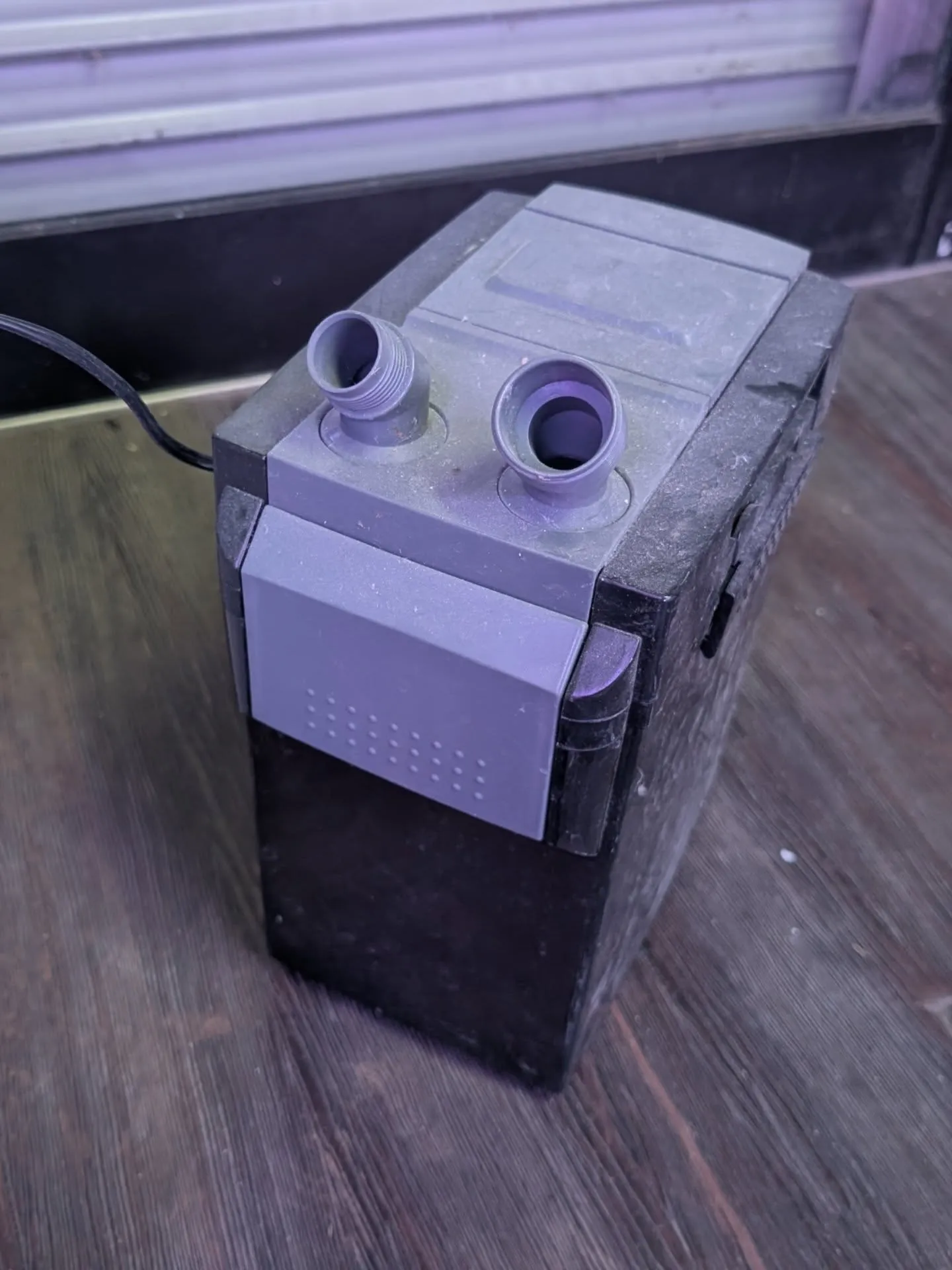 新春初売りセール🎊