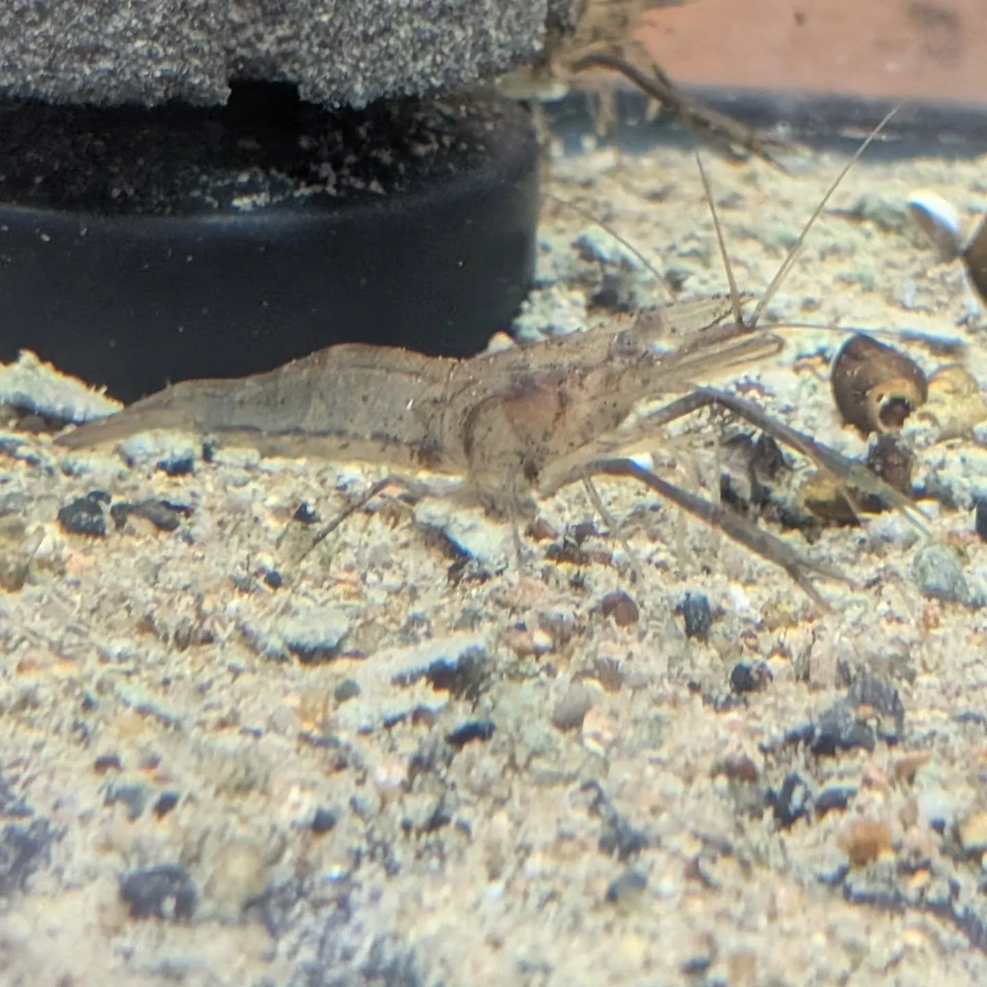 初売りセール2日目🎉