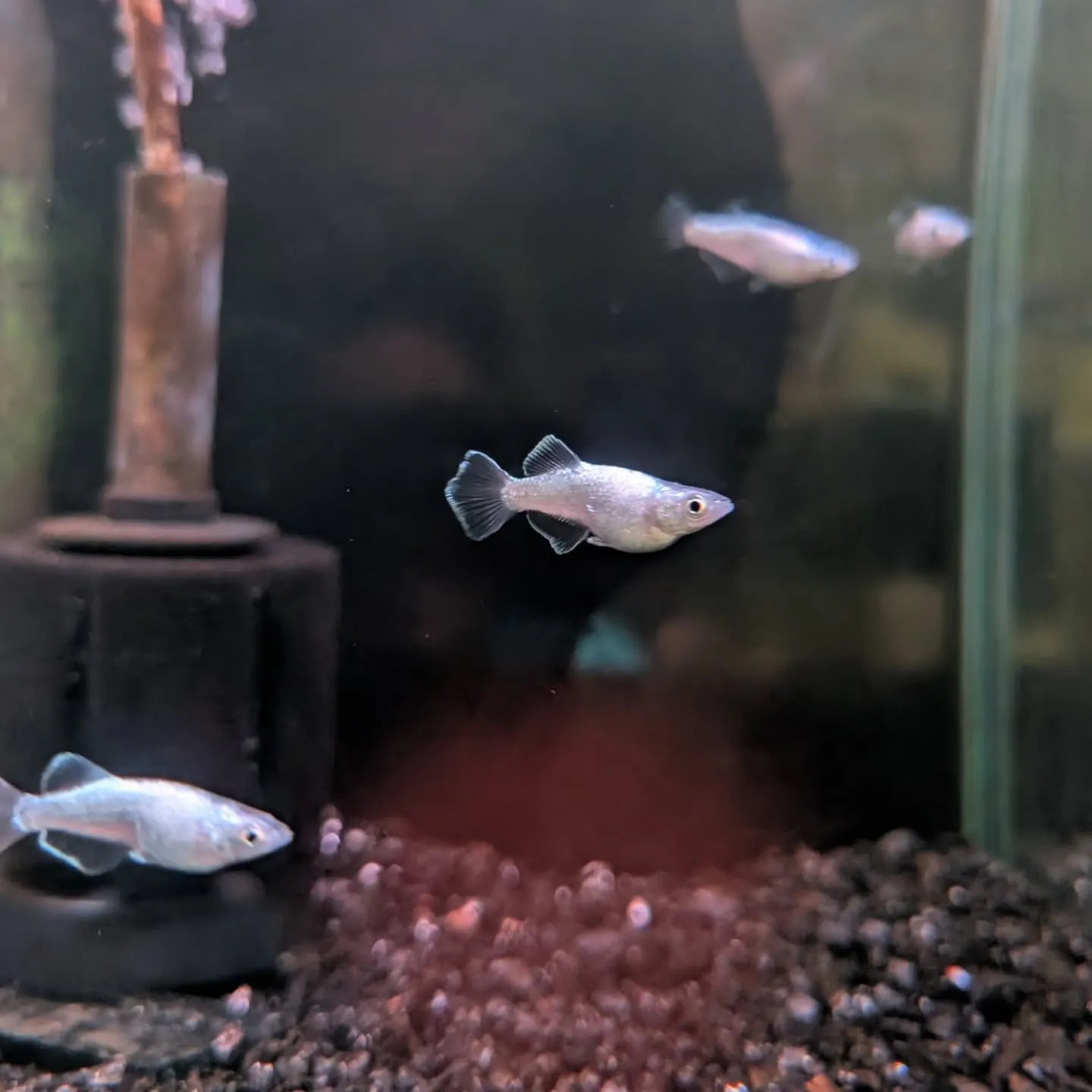 初売りセール最終日🎉