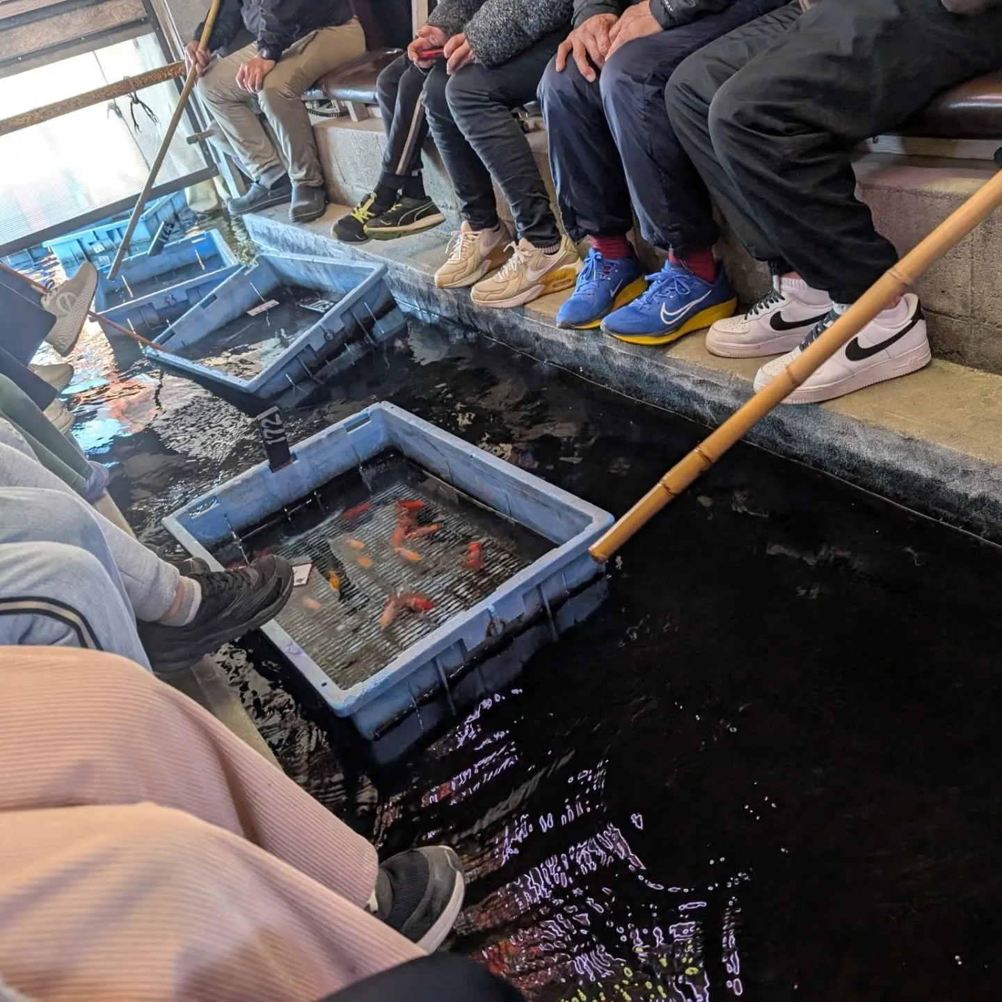 本日は仕入れ🎉