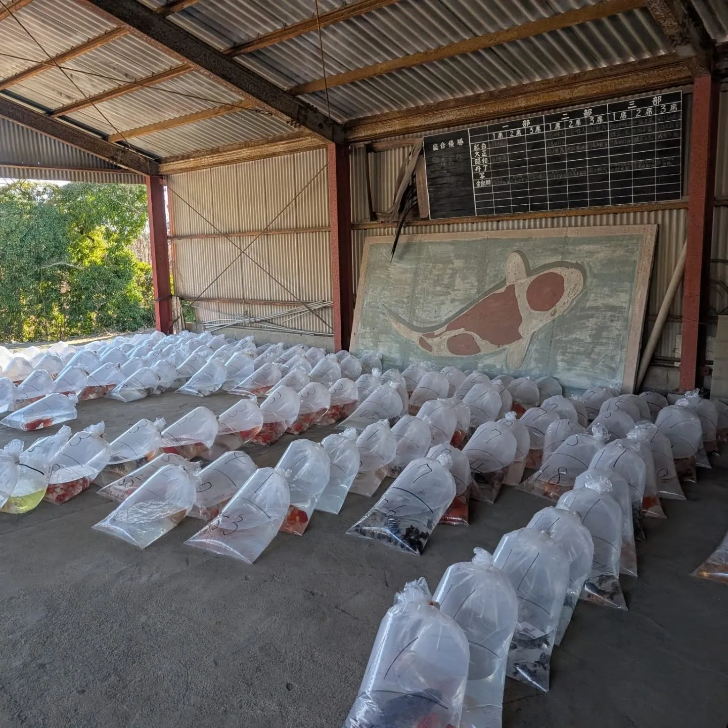 本日は仕入れ🎉