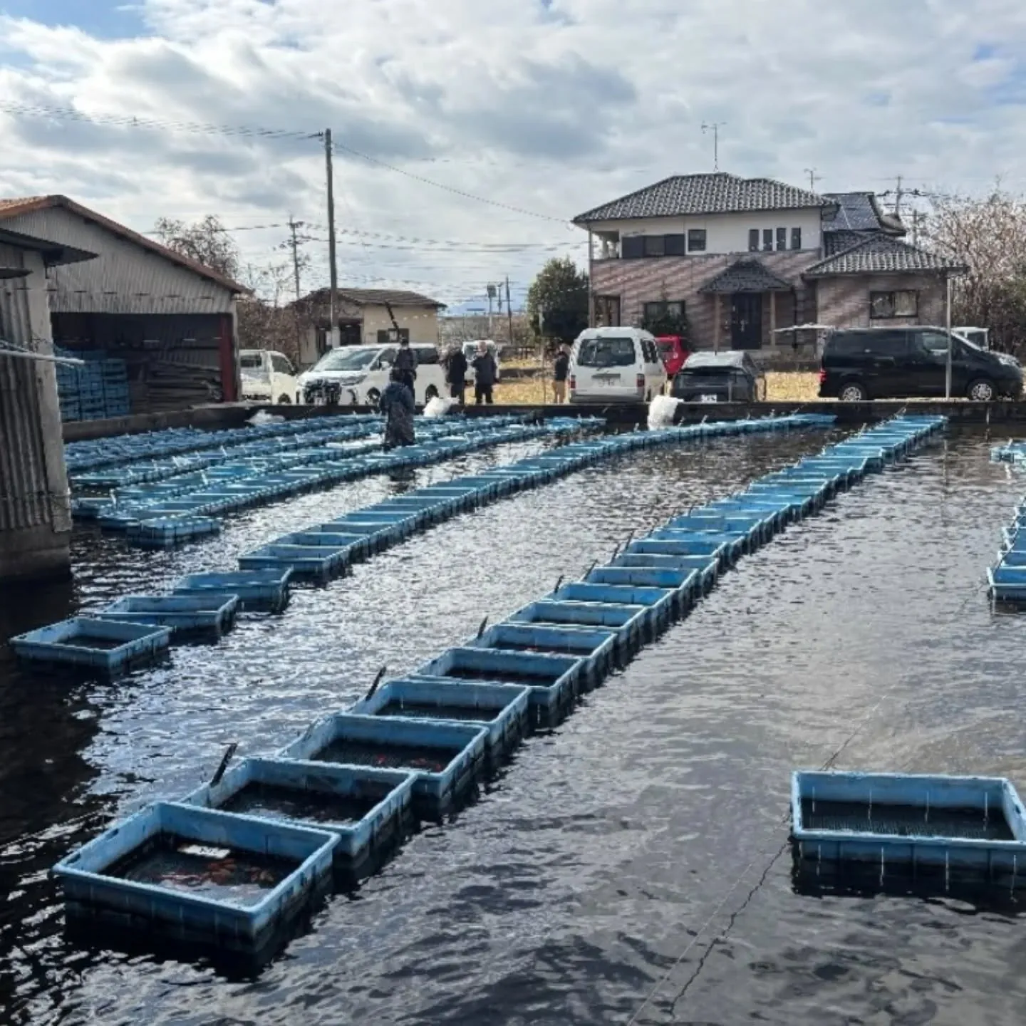 本日は仕入れ🎉