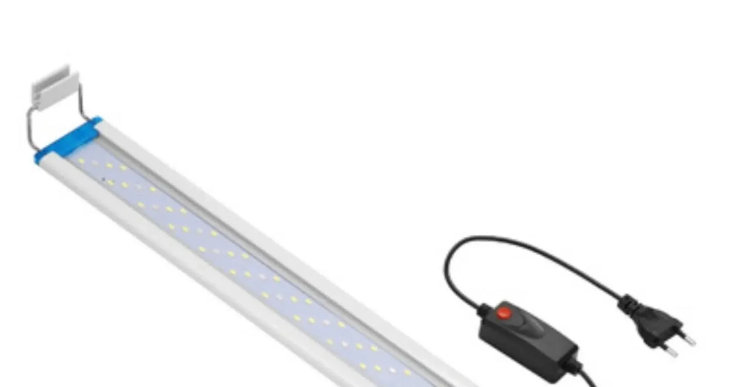 本日の入荷情報(用品)