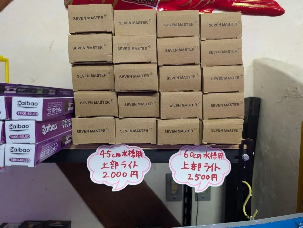 本日の入荷情報(用品)