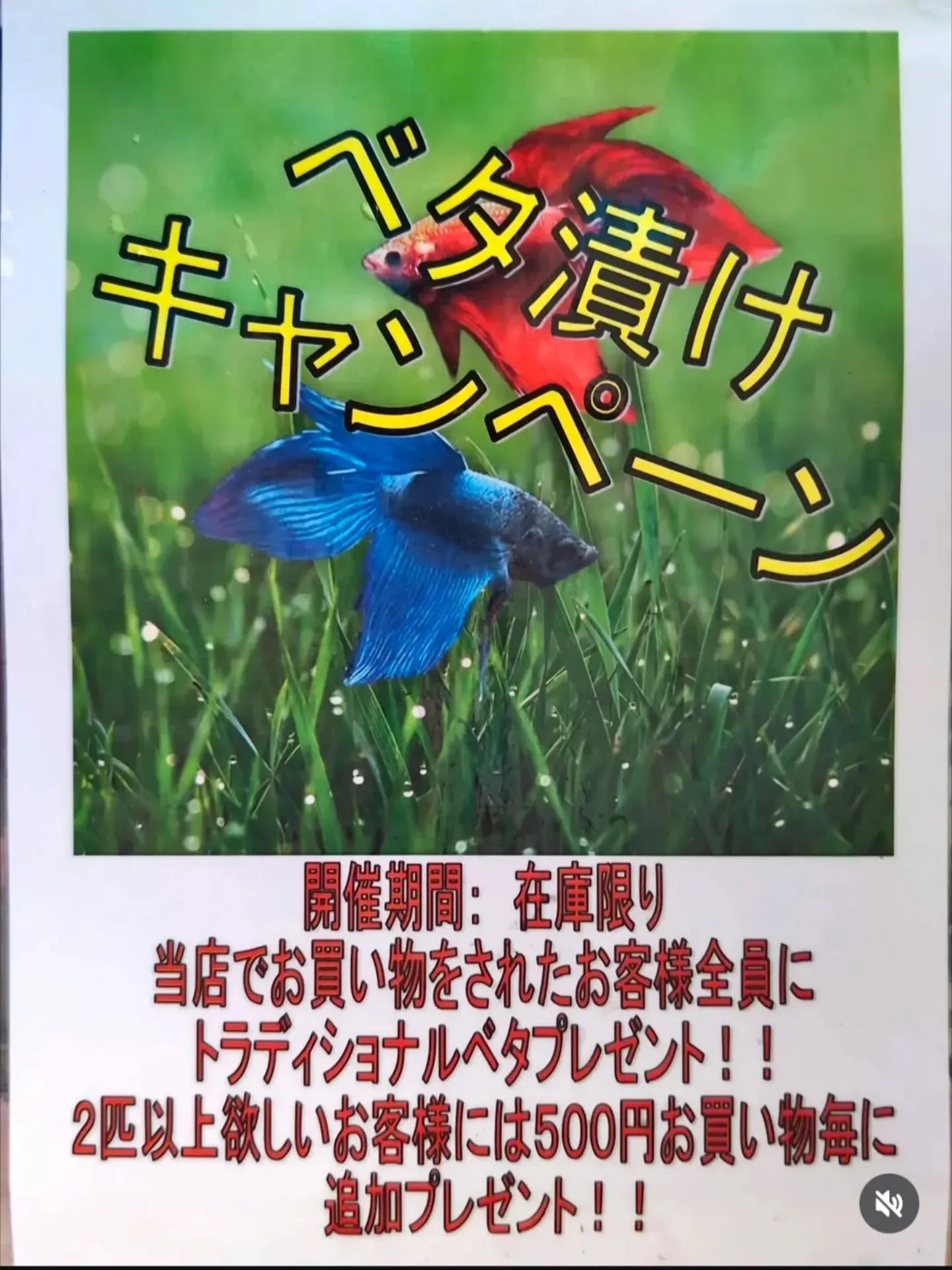 イベント情報✨