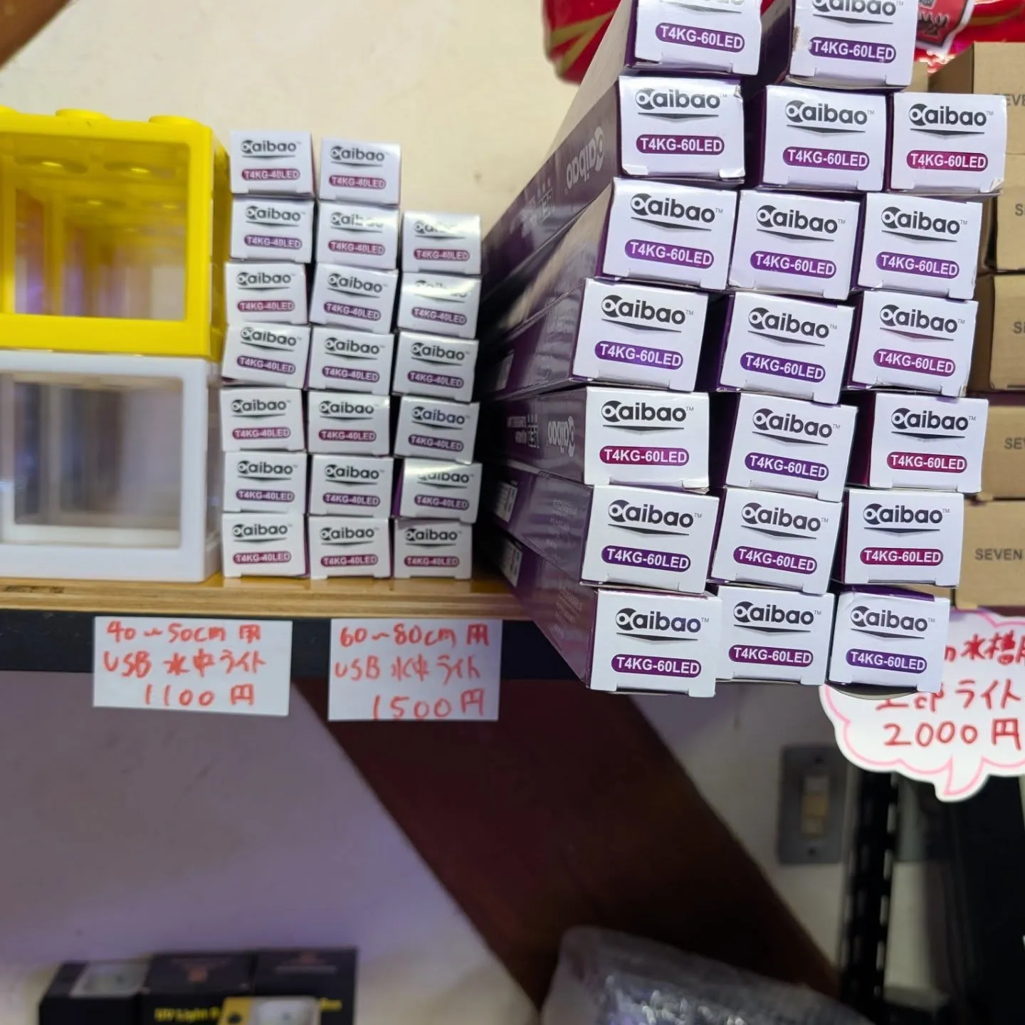 用品入荷情報✨