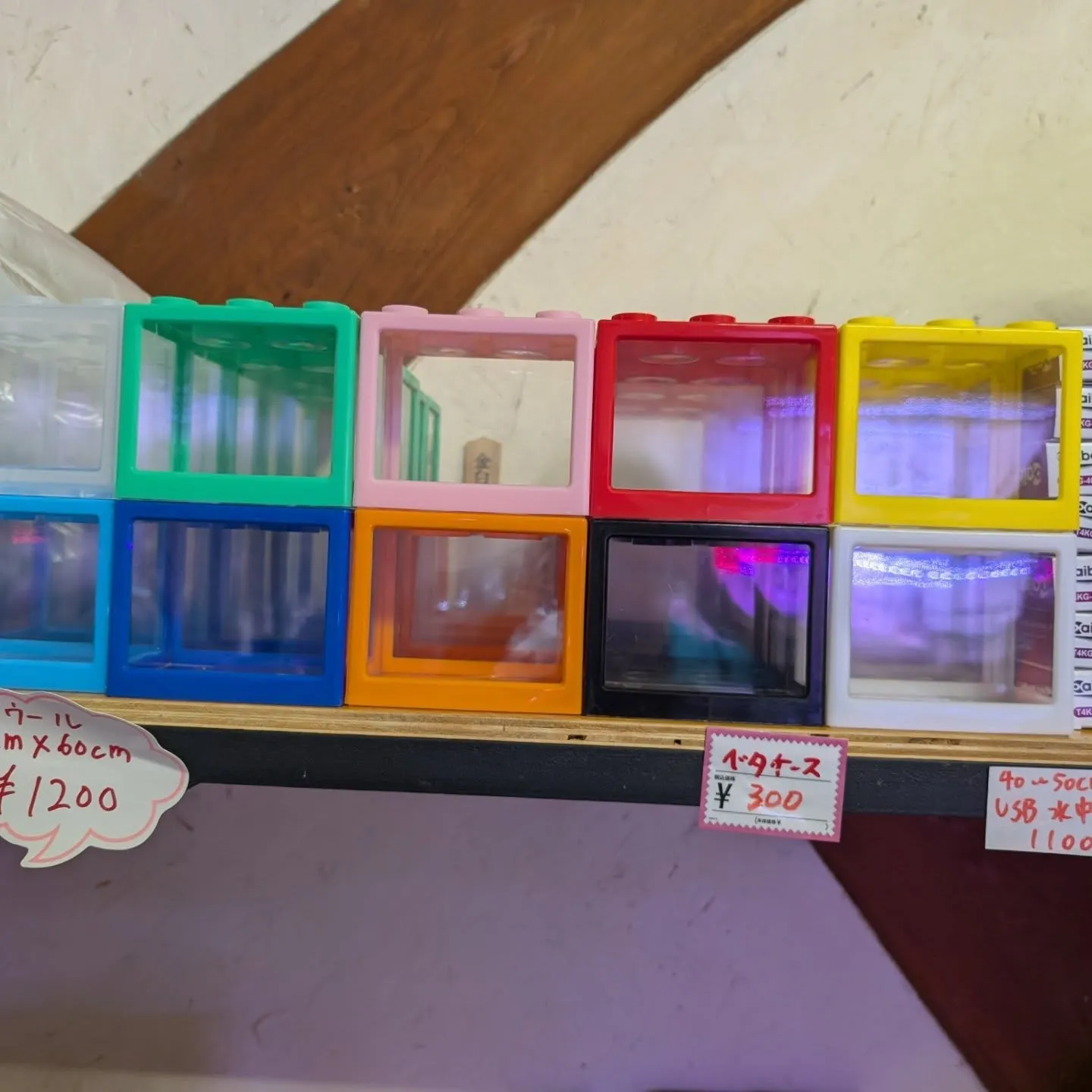 用品入荷情報✨