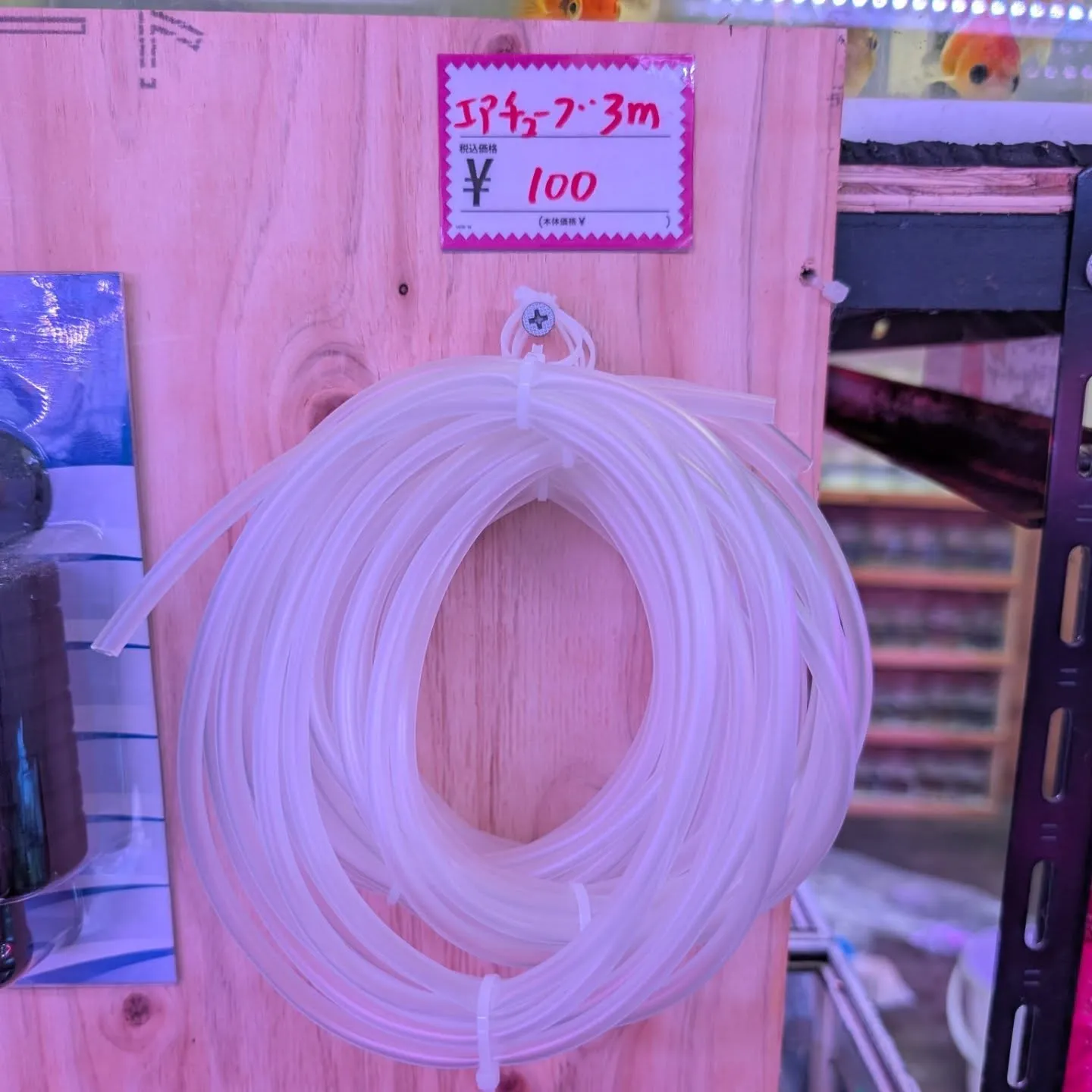 用品入荷情報✨