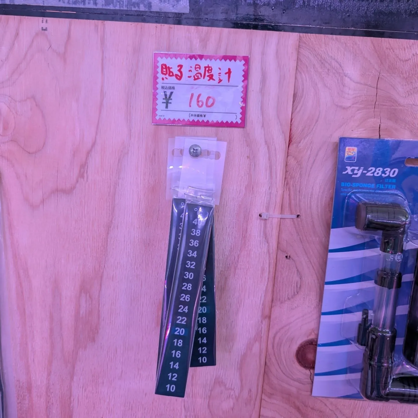 用品入荷情報✨