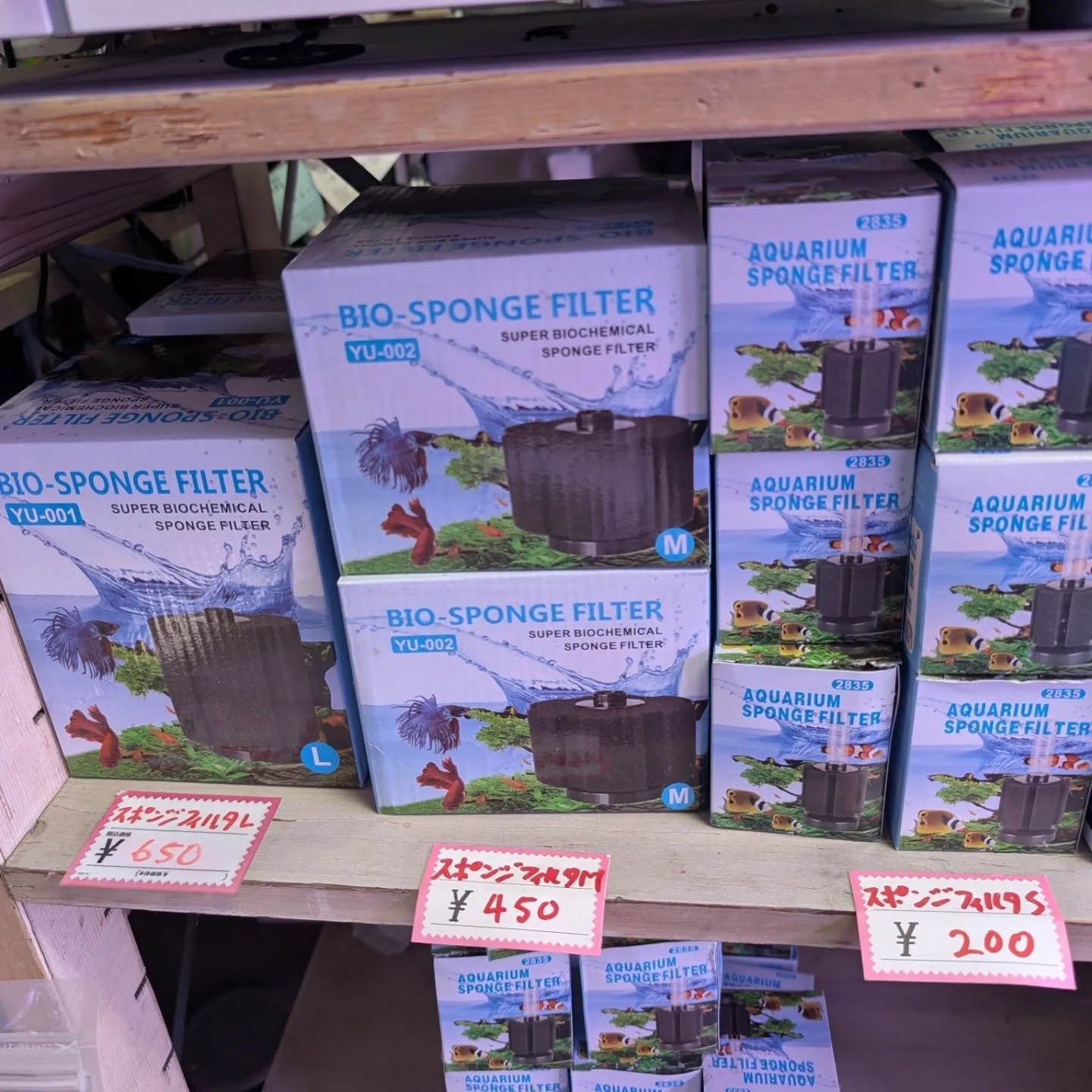 用品入荷情報✨