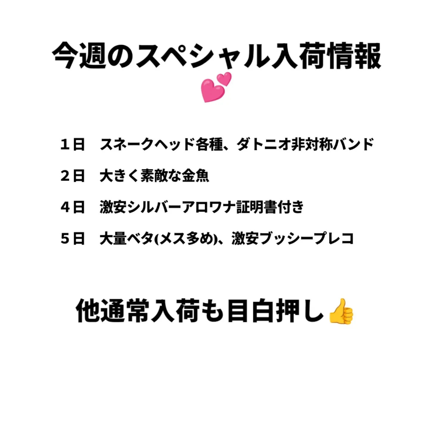 2周年祭スペシャル入荷情報✨