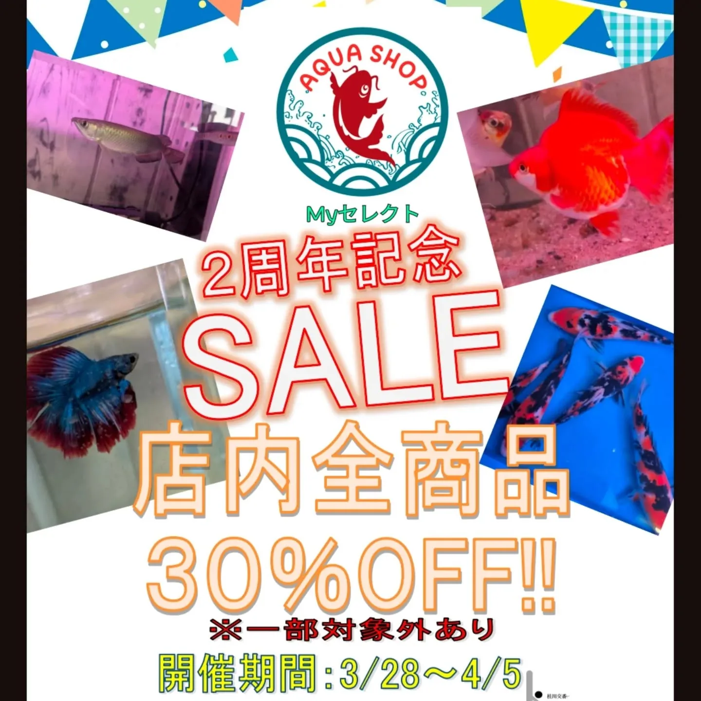 2周年祭スペシャル入荷情報✨