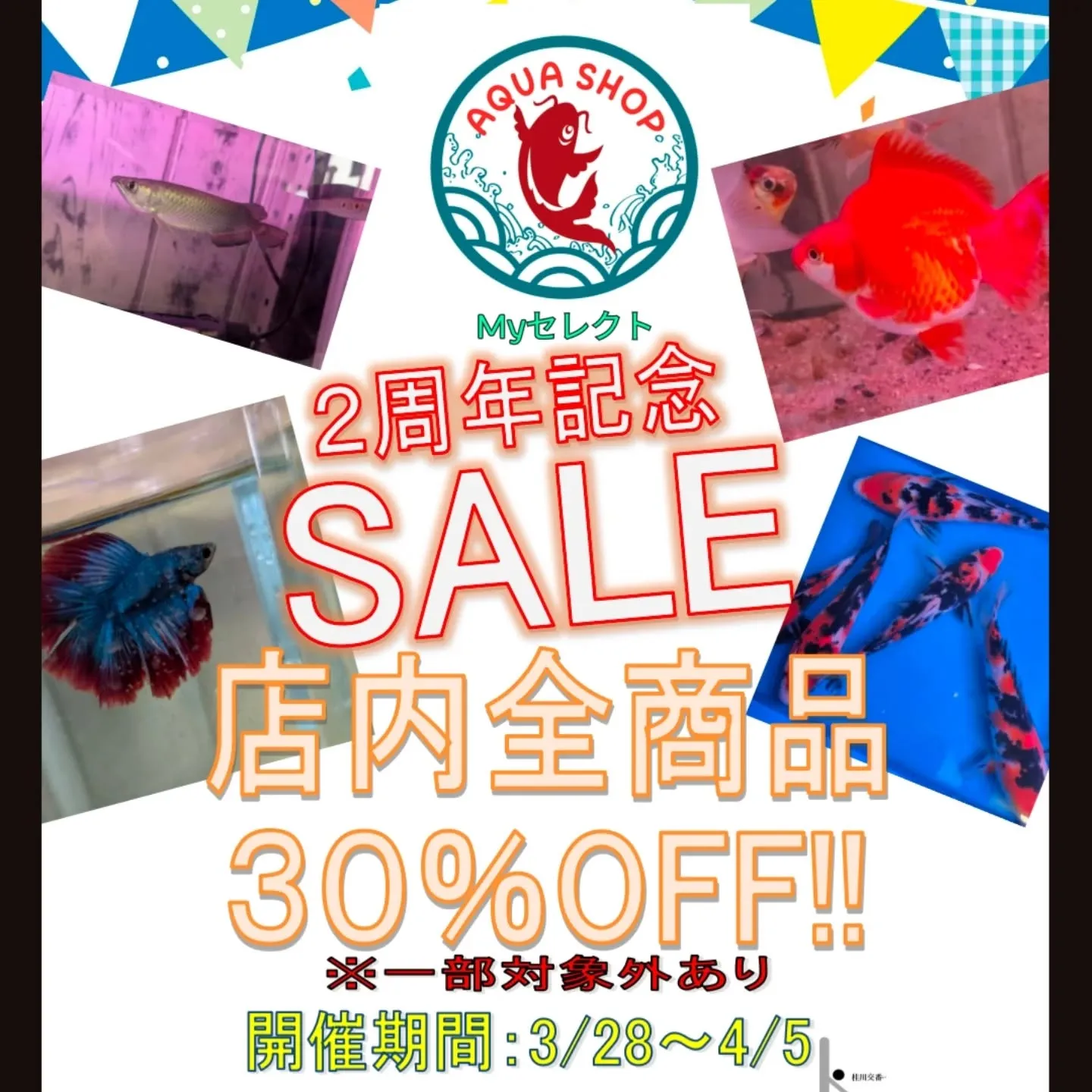 ご来店プレゼント企画第２弾🎉