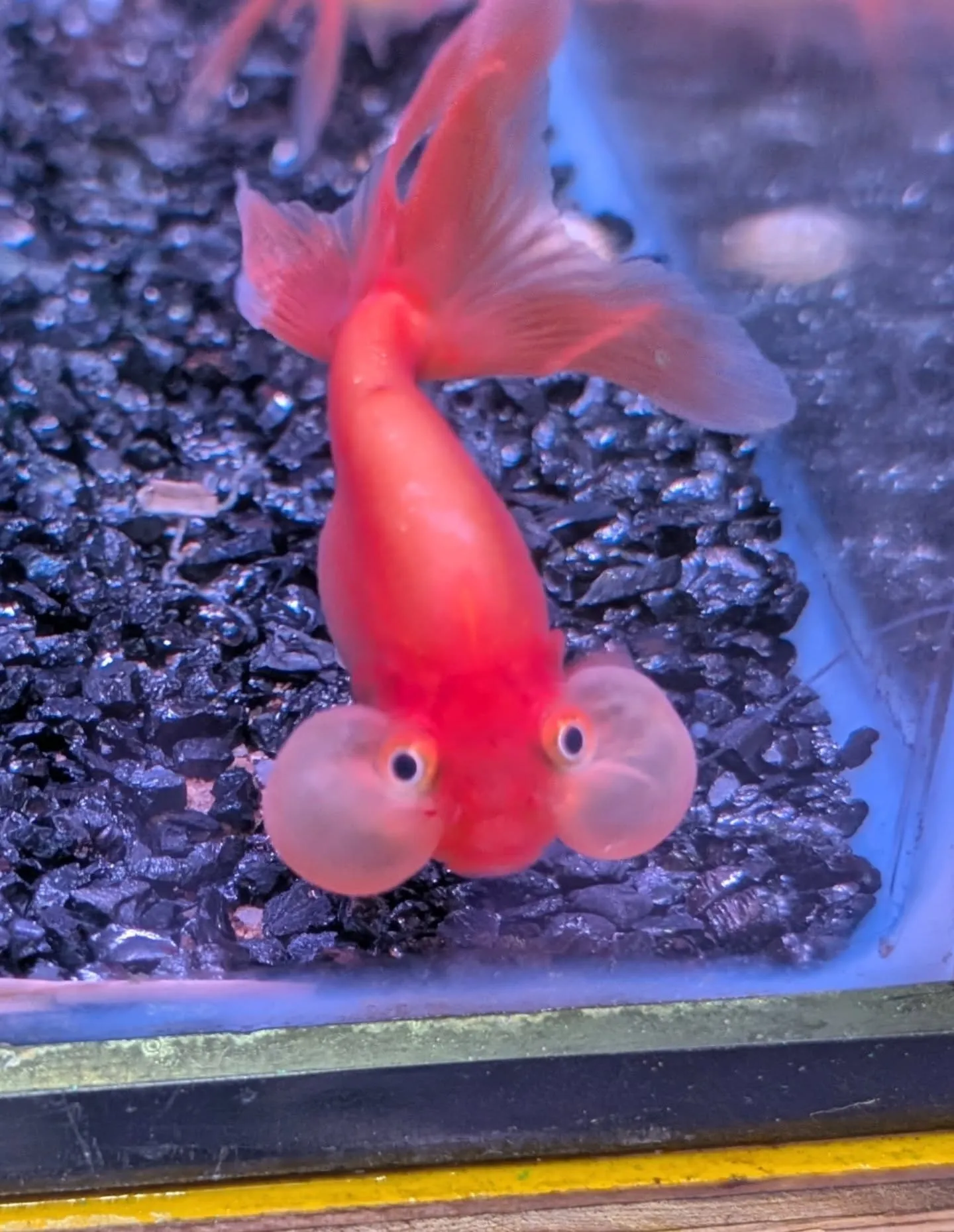 イベント情報 第二弾✨