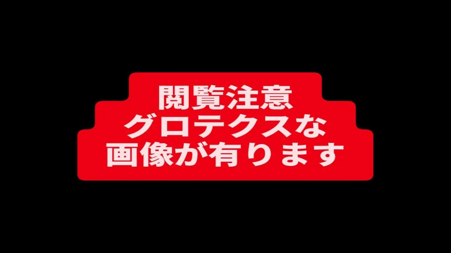 本日の入荷情報✨(その他)