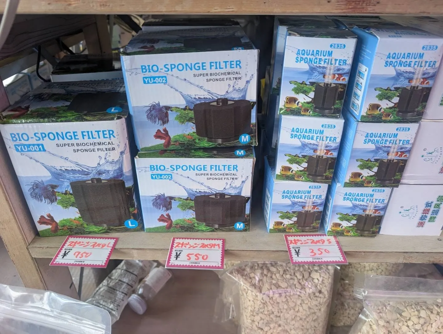 本日の入荷情報✨(AQUA用品)