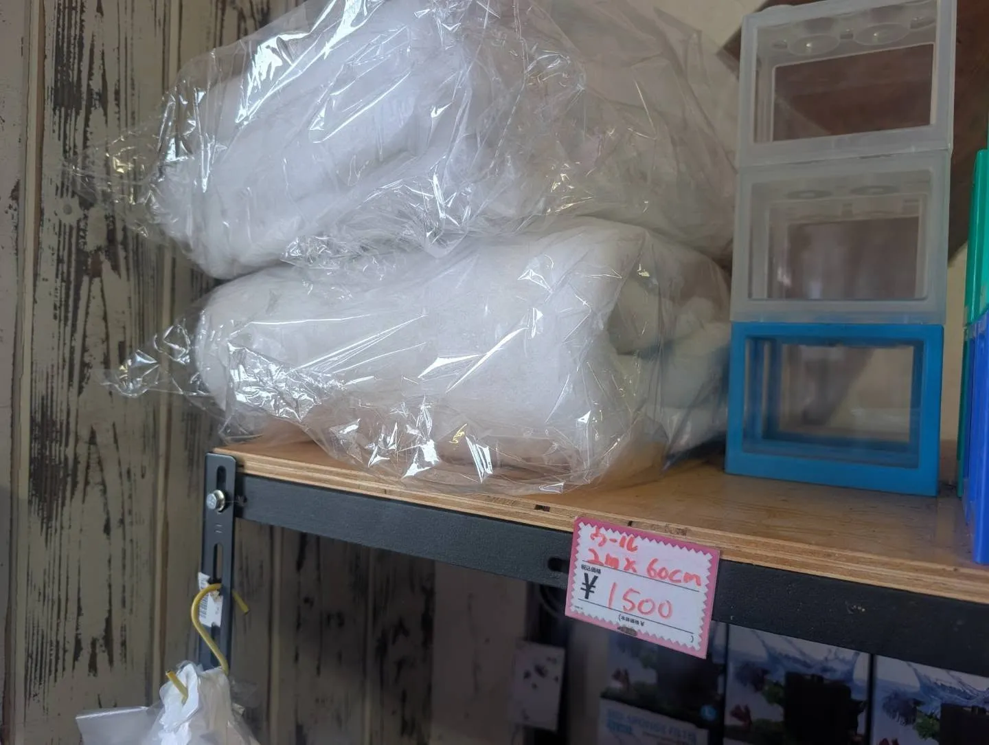 本日の入荷情報✨(AQUA用品)