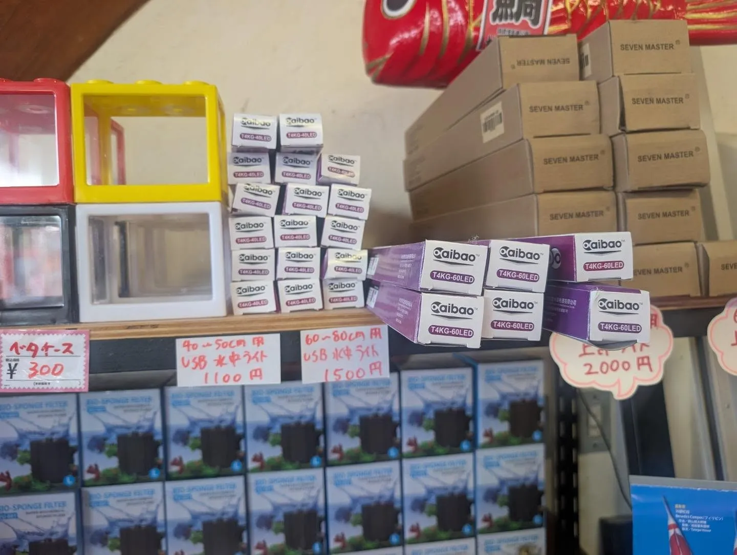 本日の入荷情報✨(AQUA用品)