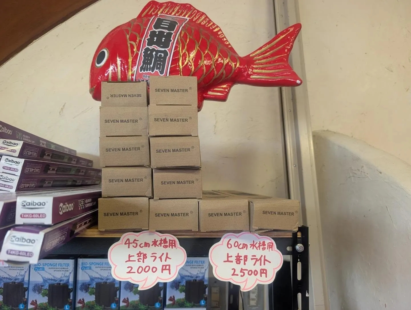 本日の入荷情報✨(AQUA用品)