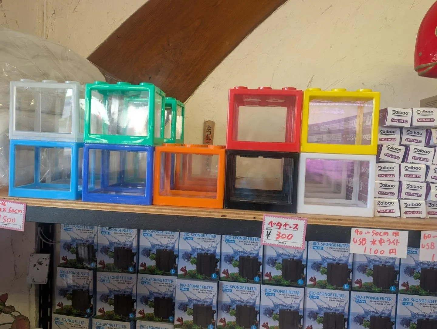 本日の入荷情報✨(AQUA用品)