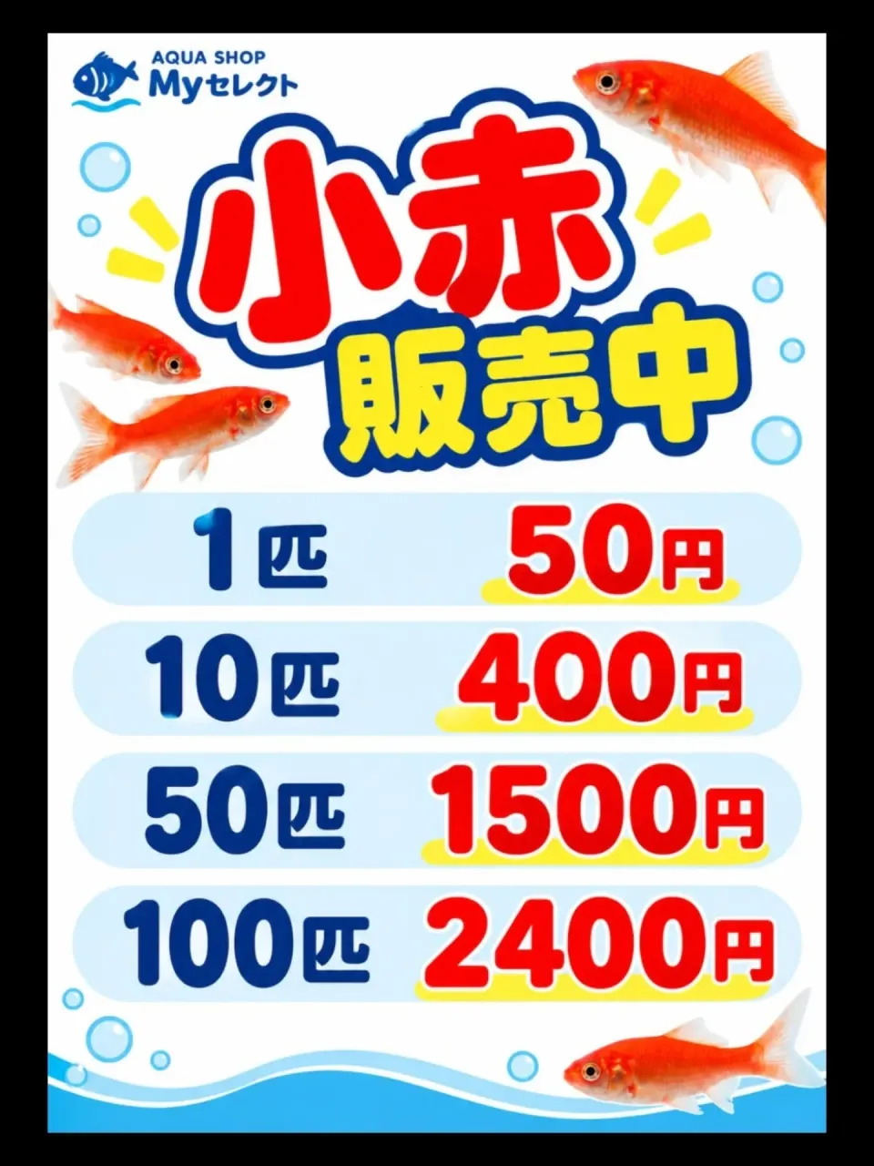 小赤取り扱いのお知らせ✨